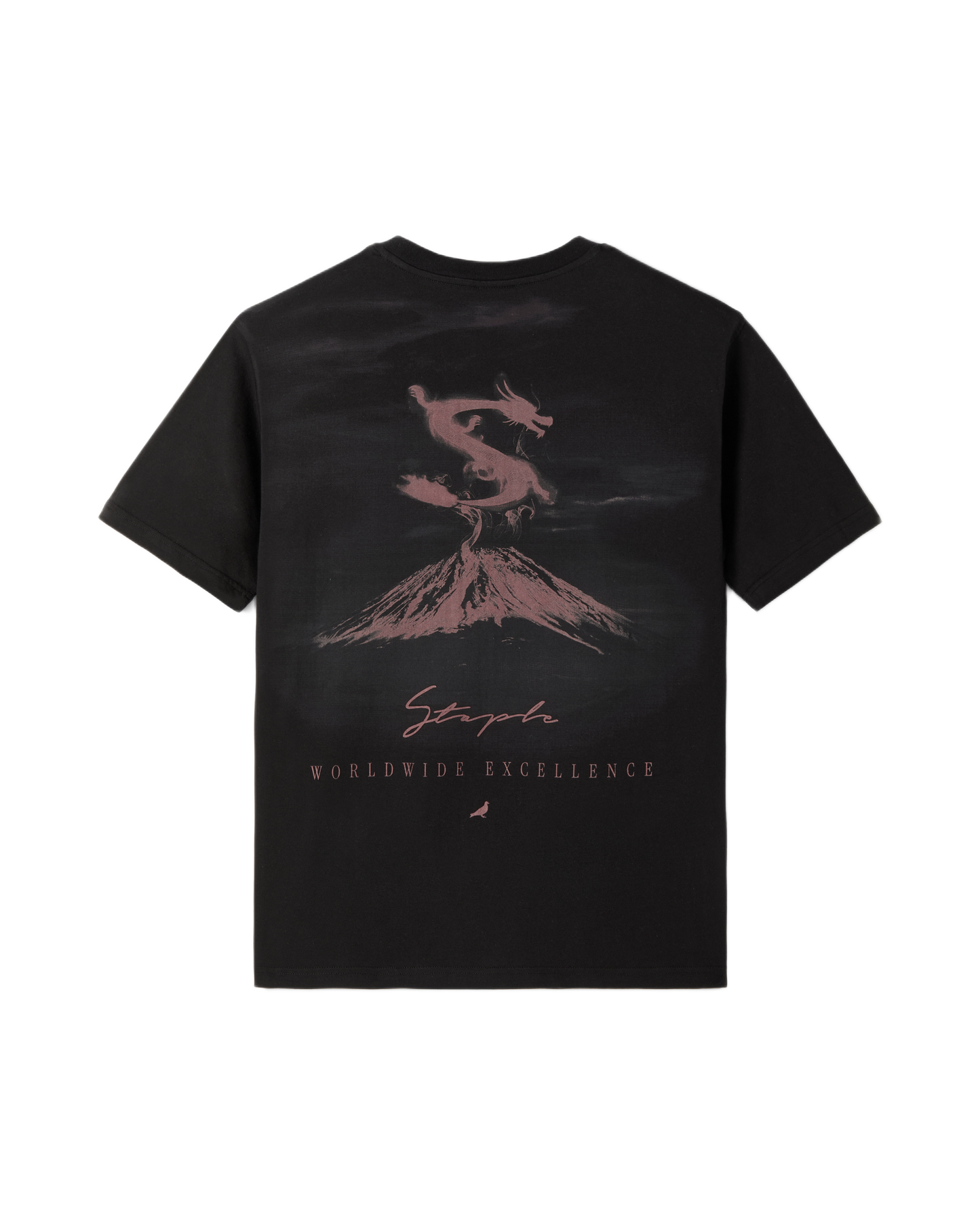 Eruption Tee - Tee | Staple Pigeon
