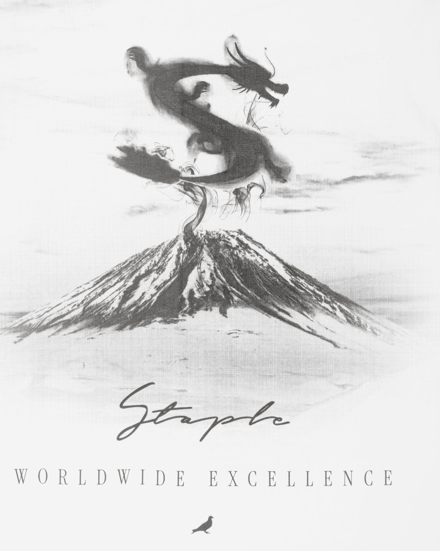 Eruption Tee - Tee | Staple Pigeon