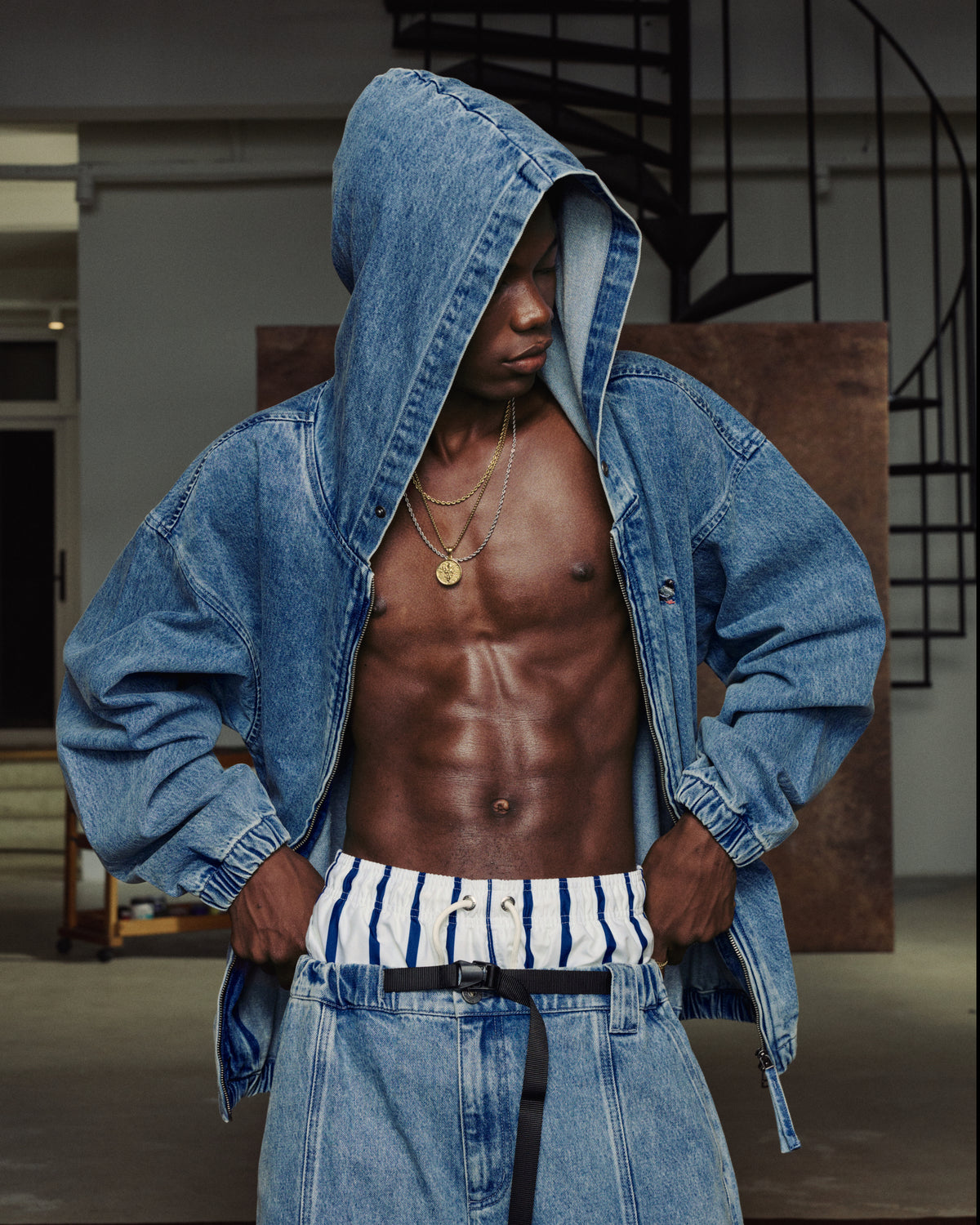 Denim Pigeon Zip Hoodie