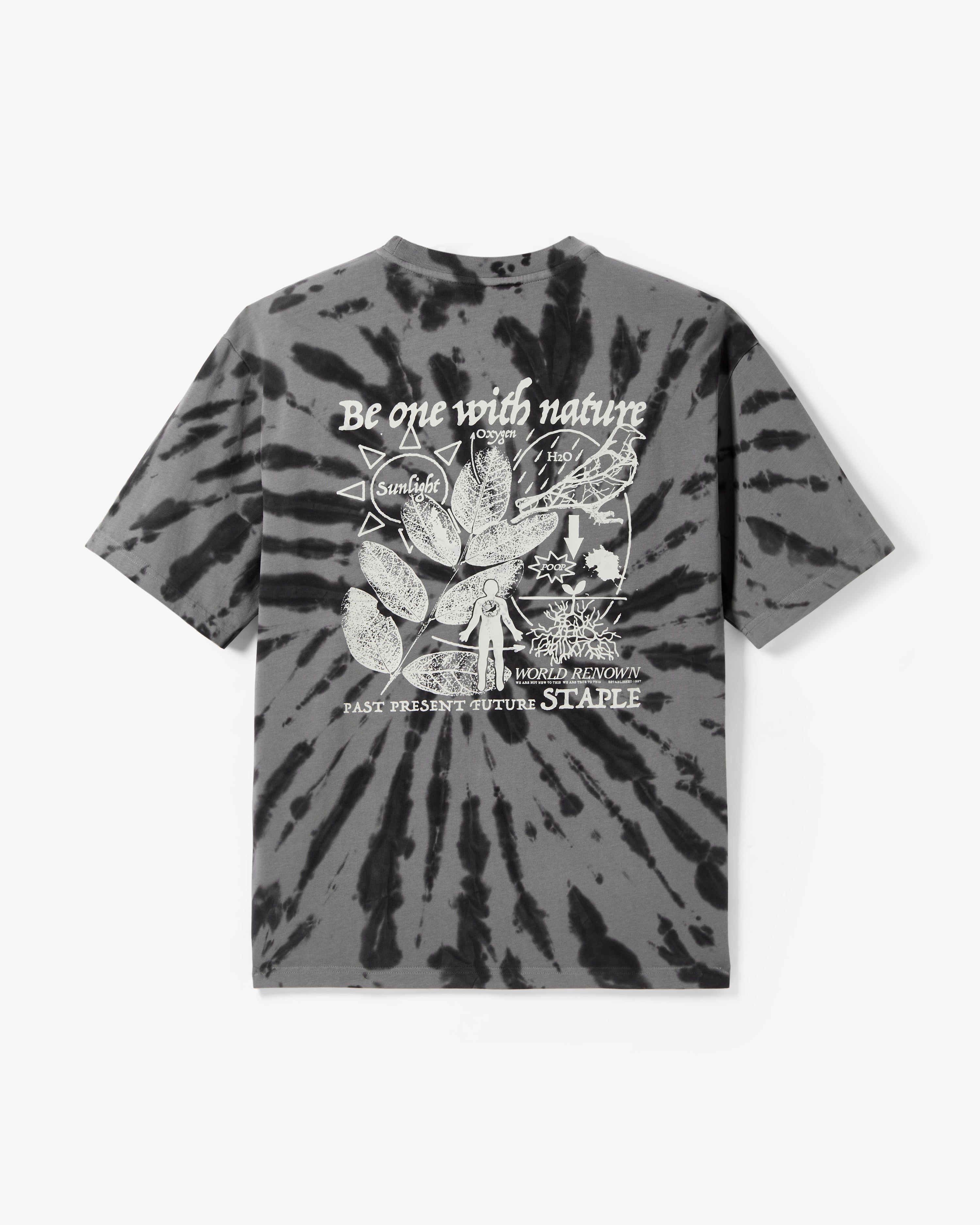 Cypress Graphic Tee - SS Tee | Staple Pigeon