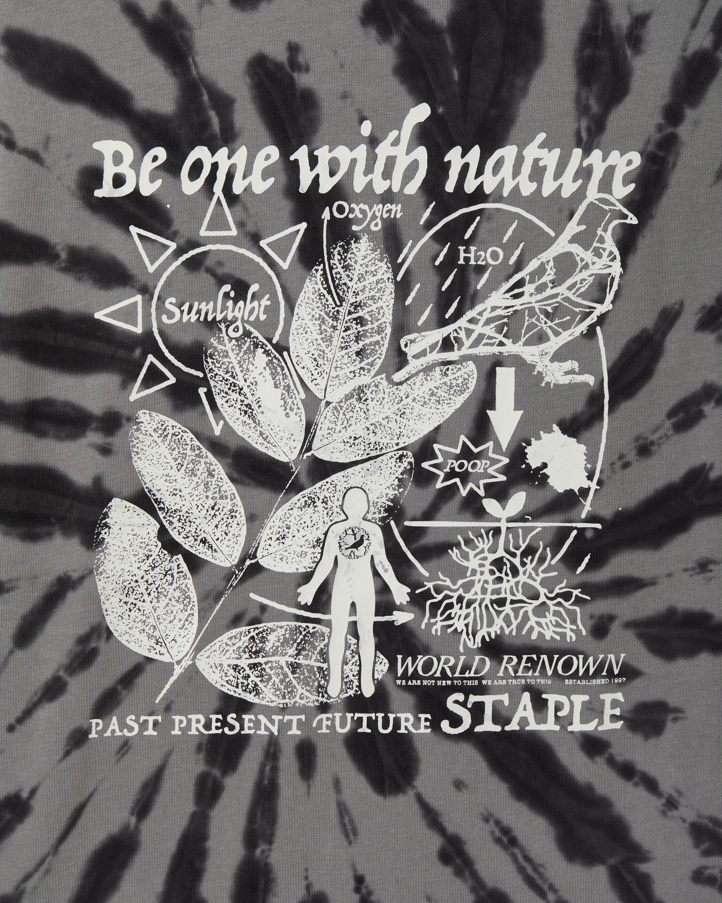 Cypress Graphic Tee - SS Tee | Staple Pigeon