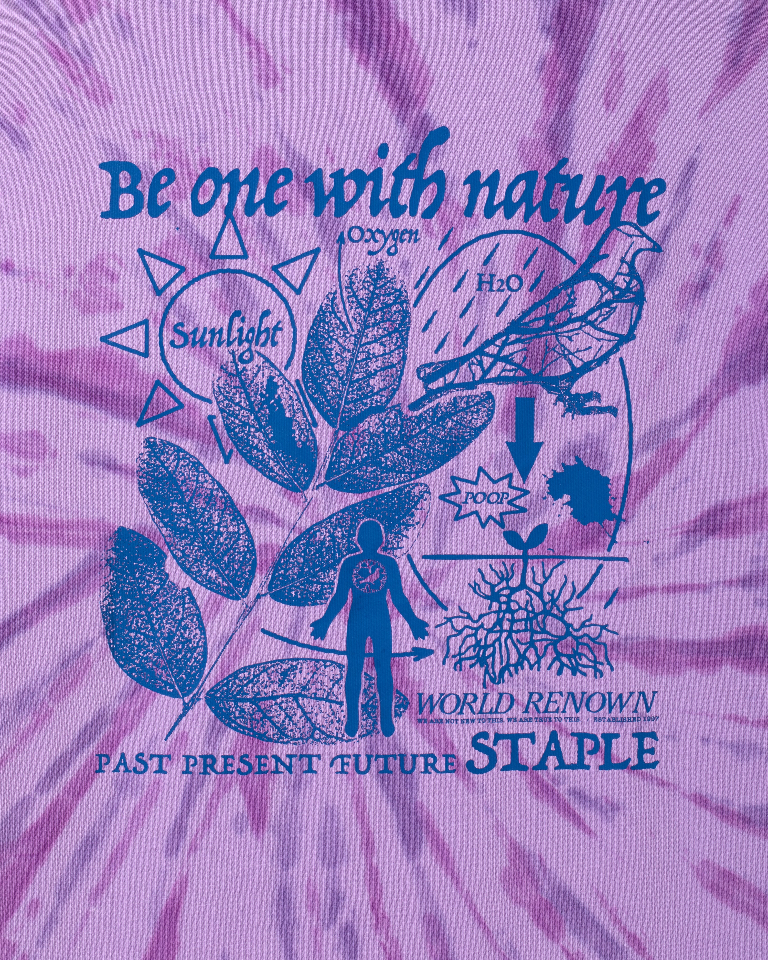 Cypress Graphic Tee - SS Tee | Staple Pigeon