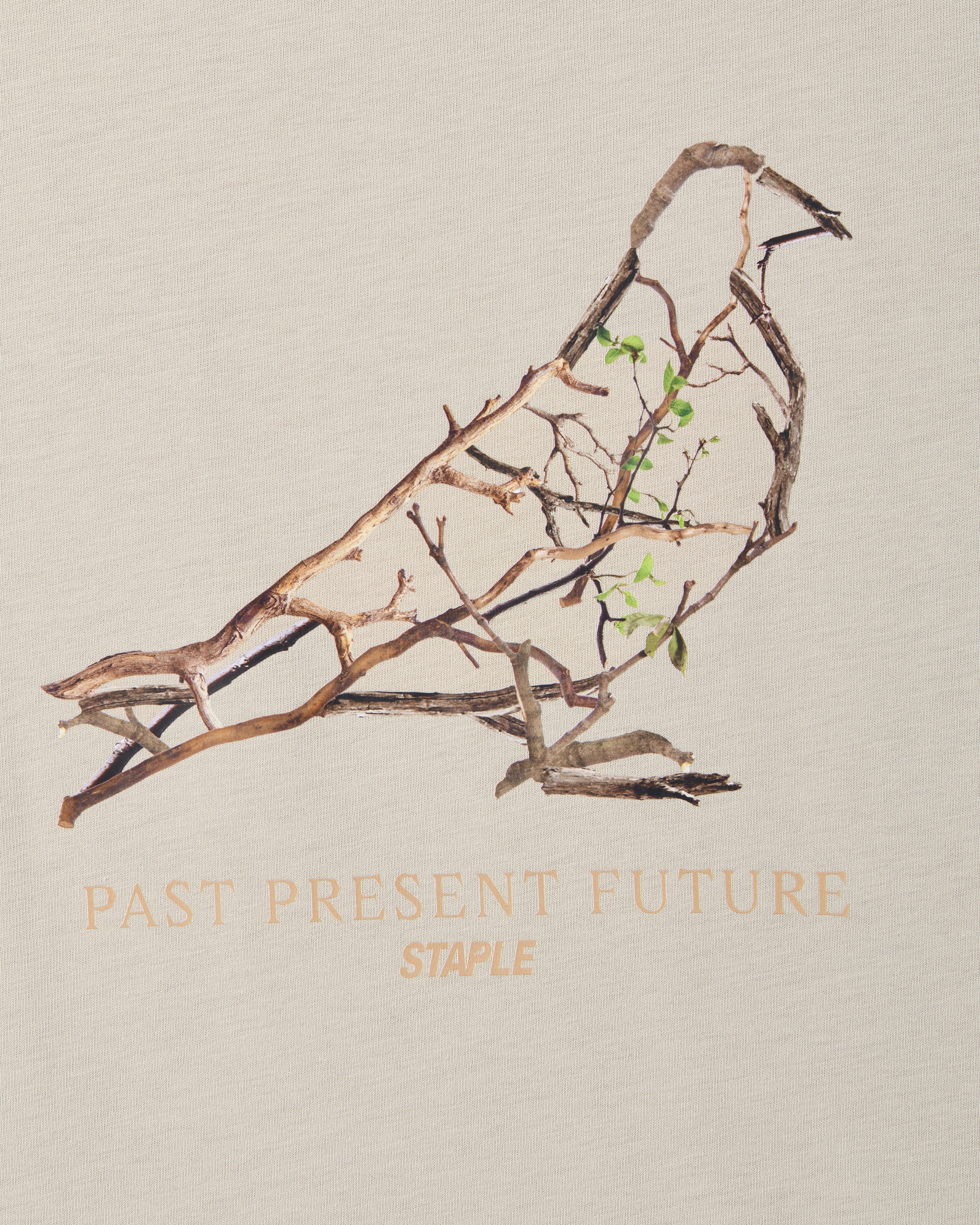 Foliage Pigeon Tee - SS Tee | Staple Pigeon