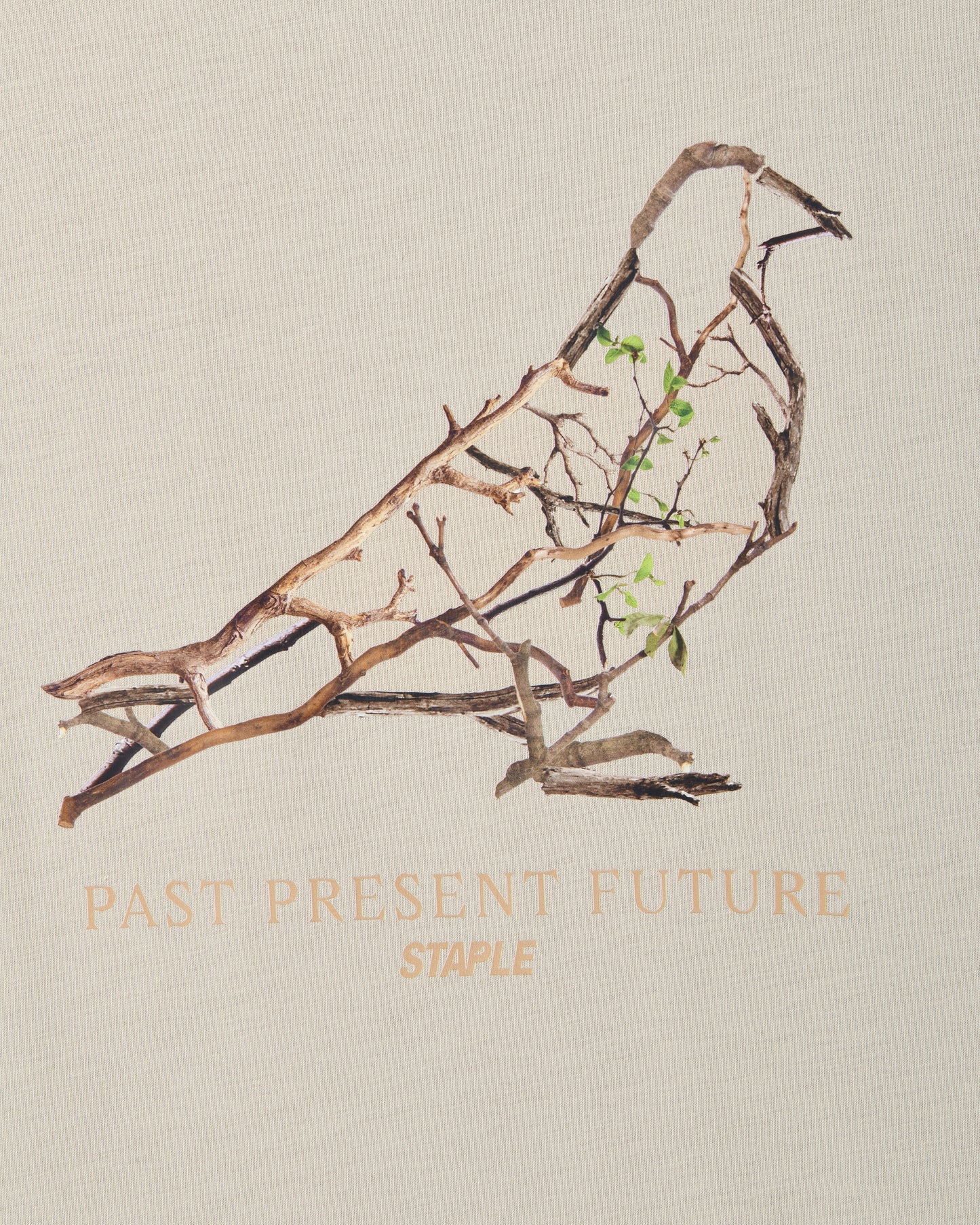 Foliage Pigeon Tee - SS Tee | Staple Pigeon