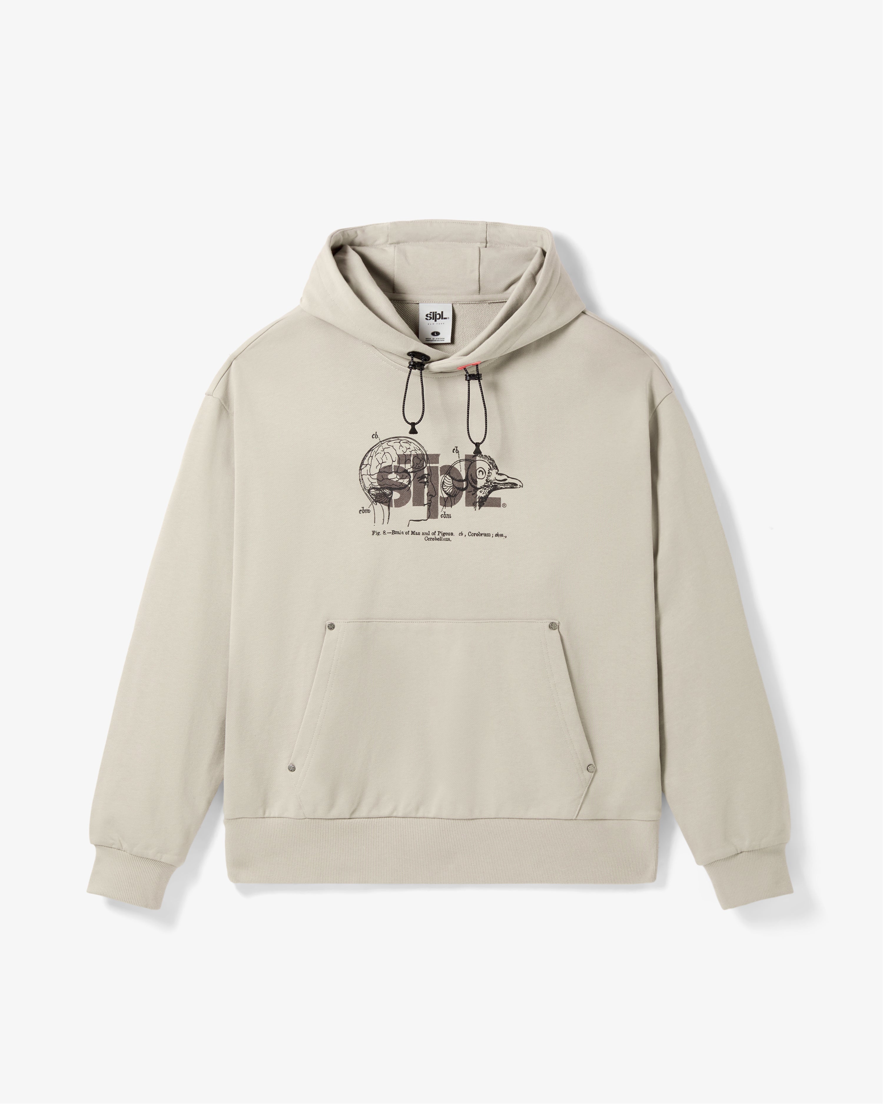 Apex Logo Hoodie - LS Hoodie | Staple Pigeon