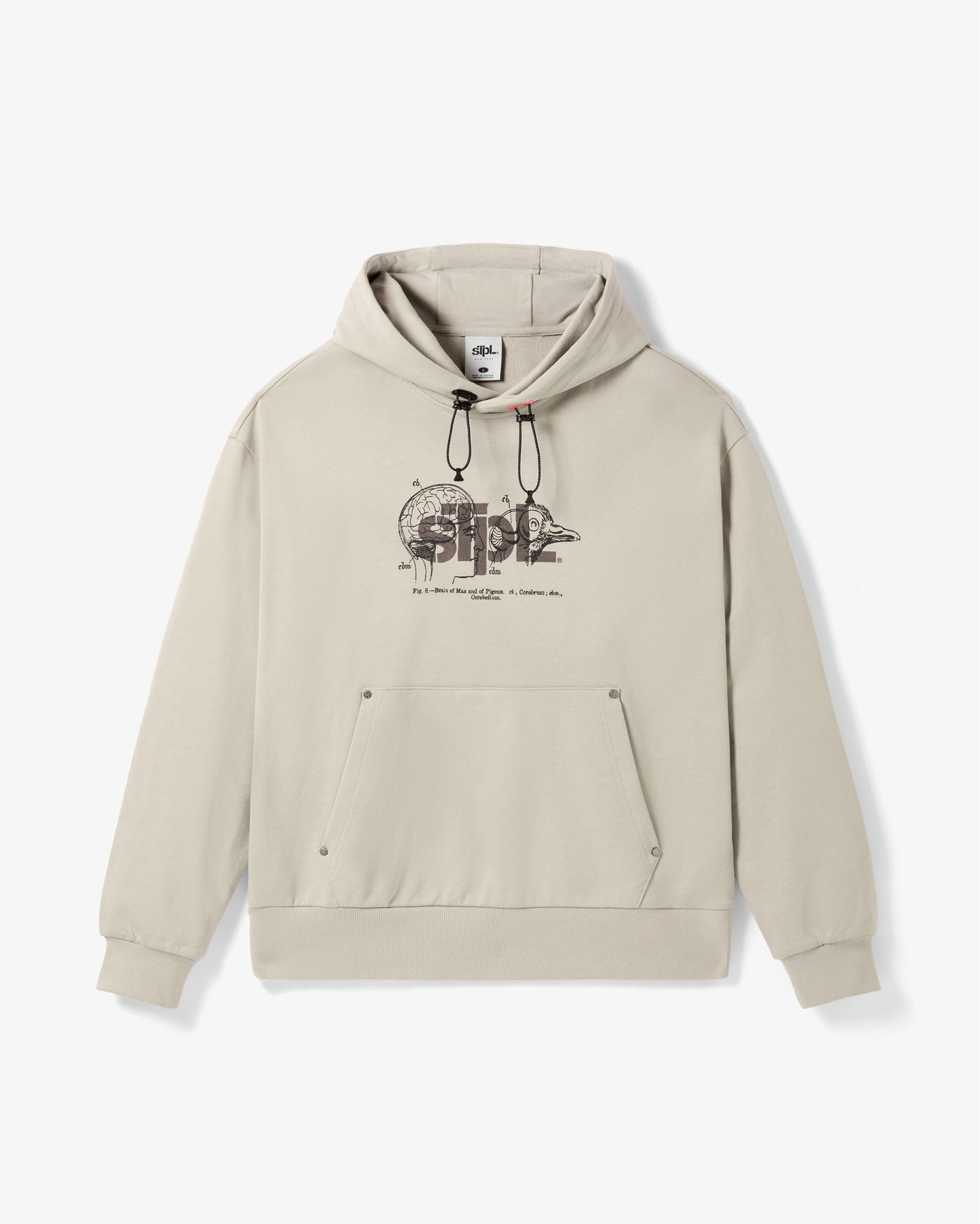 Apex Logo Hoodie - LS Hoodie | Staple Pigeon