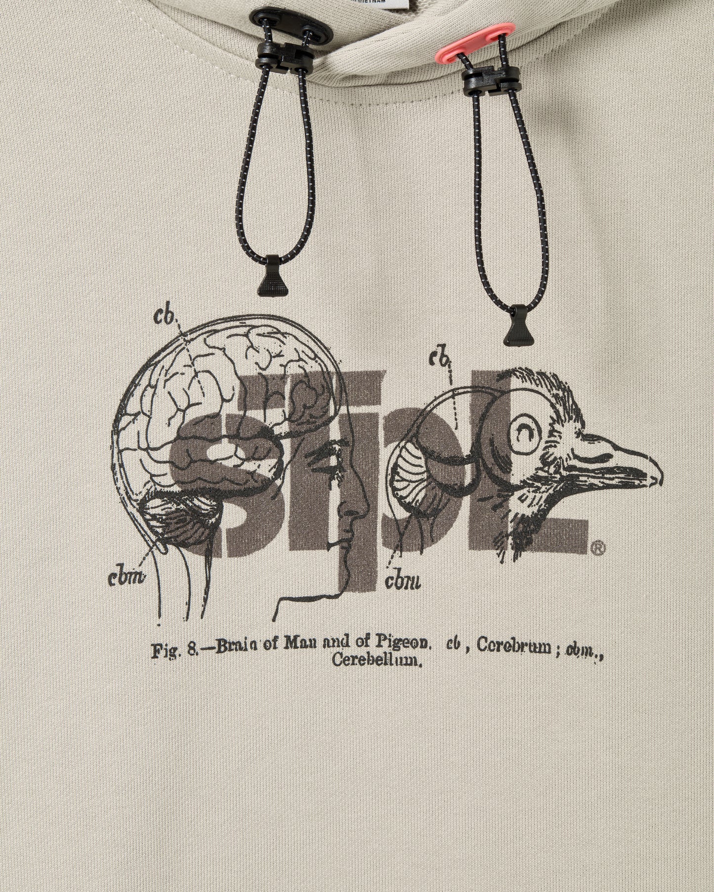 Apex Logo Hoodie - LS Hoodie | Staple Pigeon