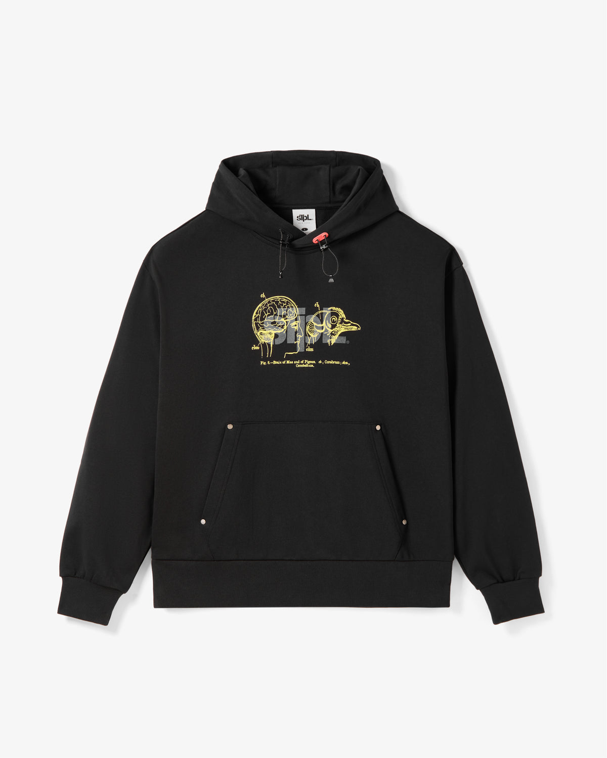 Apex Logo Hoodie - LS Hoodie | Staple Pigeon