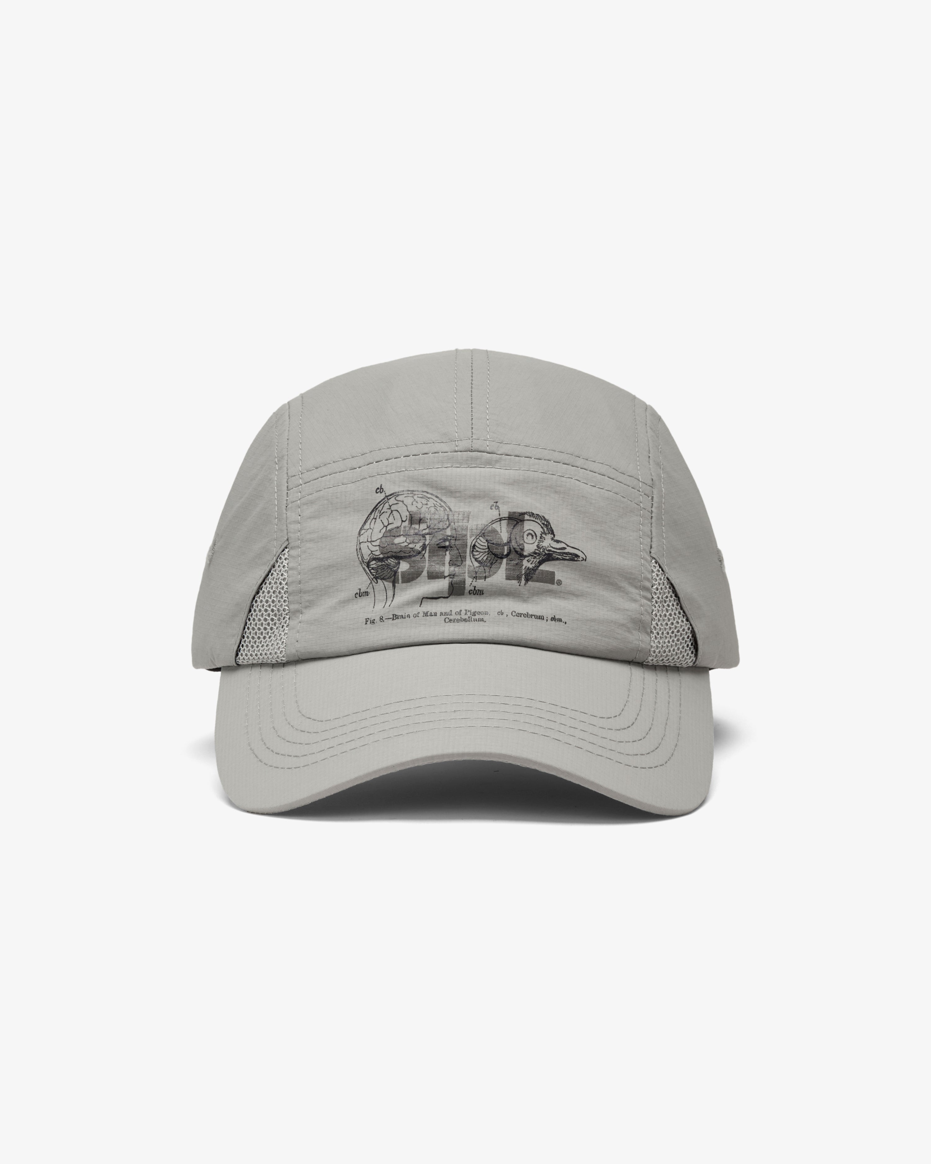 Apex Logo 5 Panel - Baseball Cap | Staple Pigeon