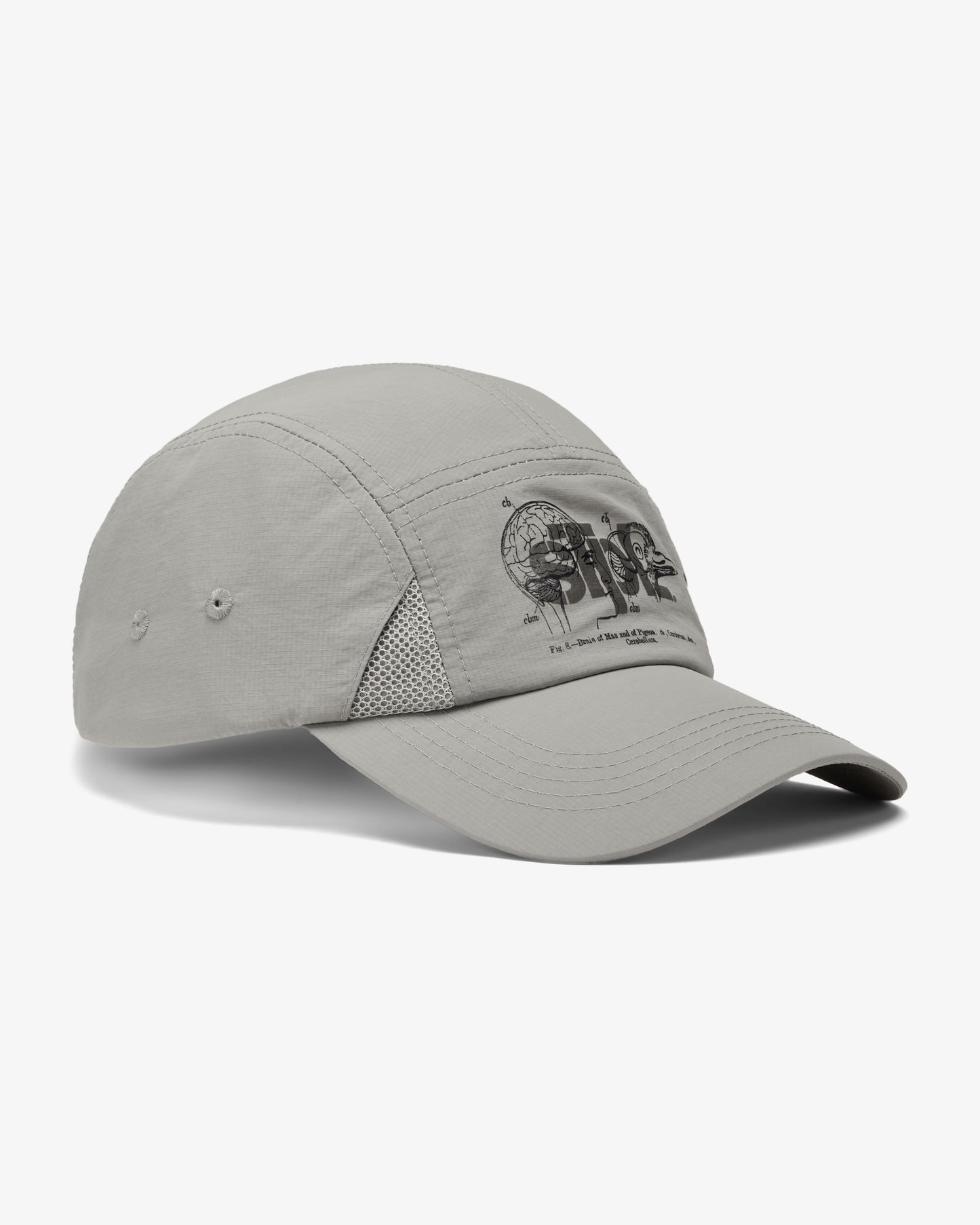 Apex Logo 5 Panel - Baseball Cap | Staple Pigeon