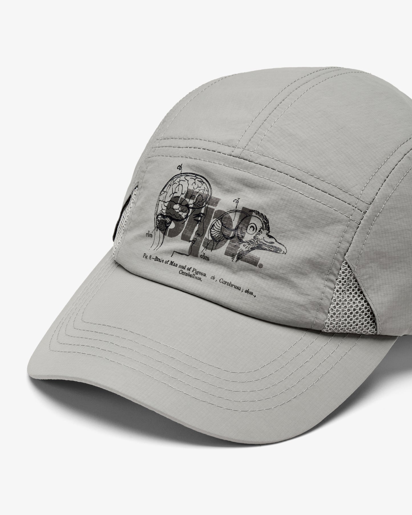 Apex Logo 5 Panel - Baseball Cap | Staple Pigeon