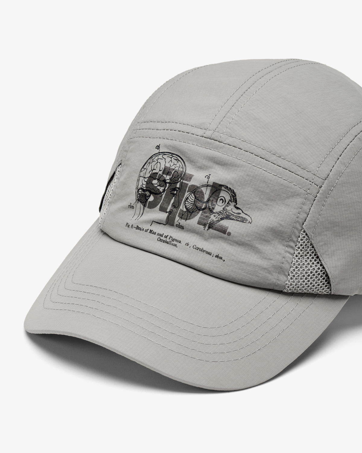 Apex Logo 5 Panel - Baseball Cap | Staple Pigeon