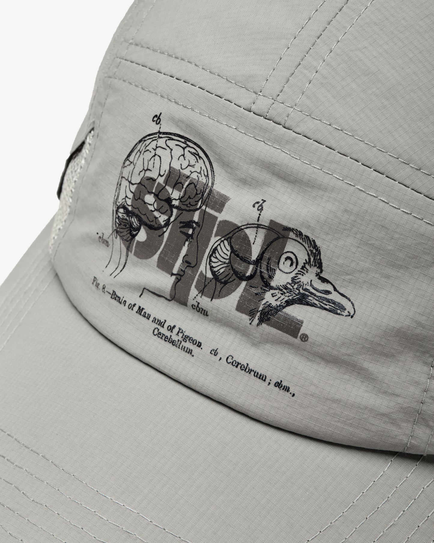 Apex Logo 5 Panel - Baseball Cap | Staple Pigeon