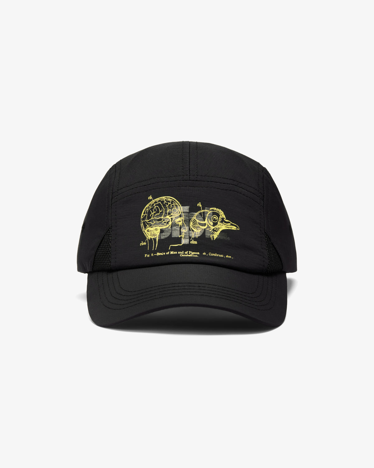 Apex Logo 5 Panel - Baseball Cap | Staple Pigeon