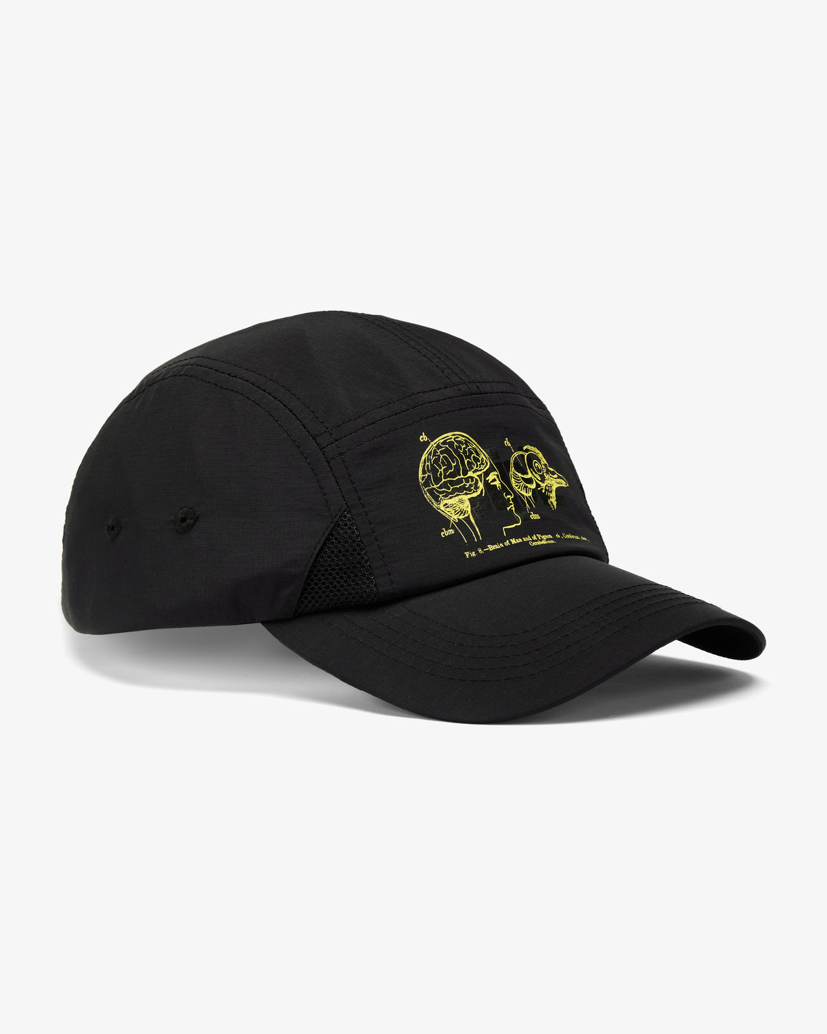 Apex Logo 5 Panel - Baseball Cap | Staple Pigeon