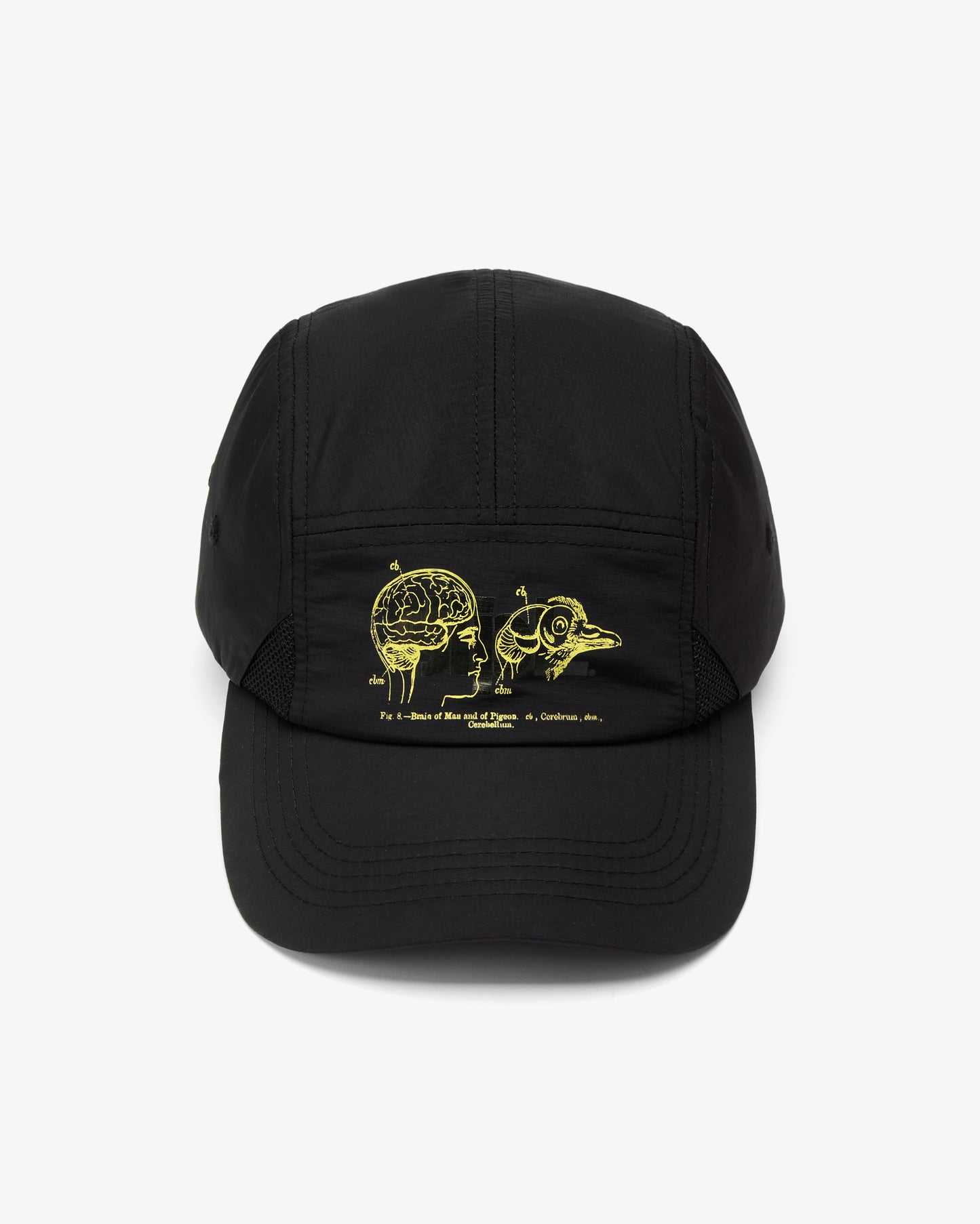 Apex Logo 5 Panel - Baseball Cap | Staple Pigeon