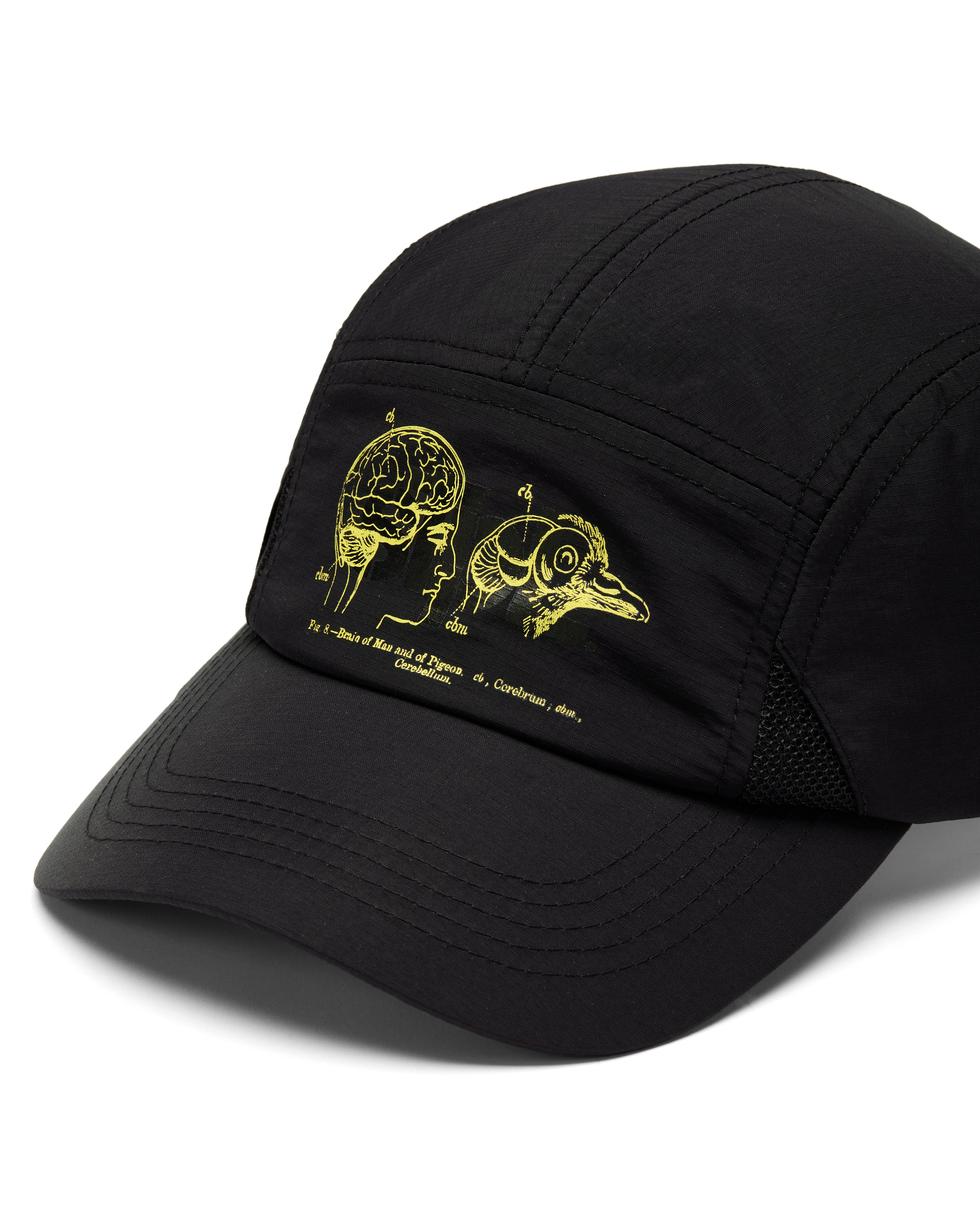 Apex Logo 5 Panel - Baseball Cap | Staple Pigeon