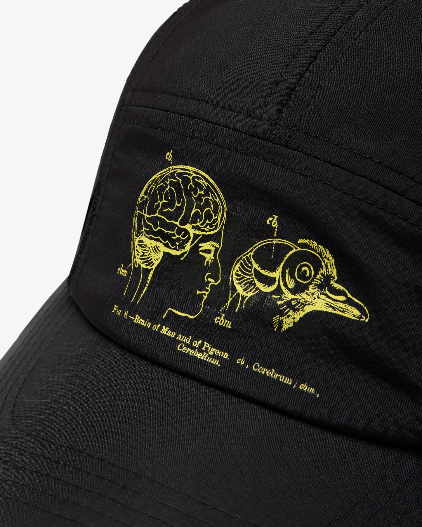 Apex Logo 5 Panel - Baseball Cap | Staple Pigeon