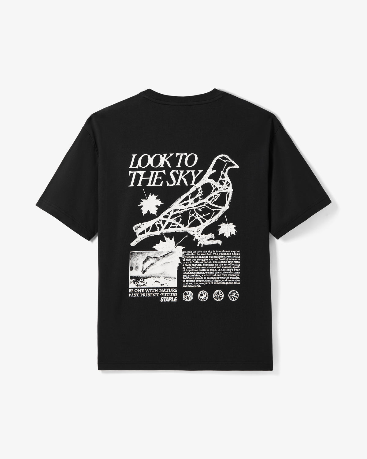 Juniper Graphic Tee - SS Tee | Staple Pigeon