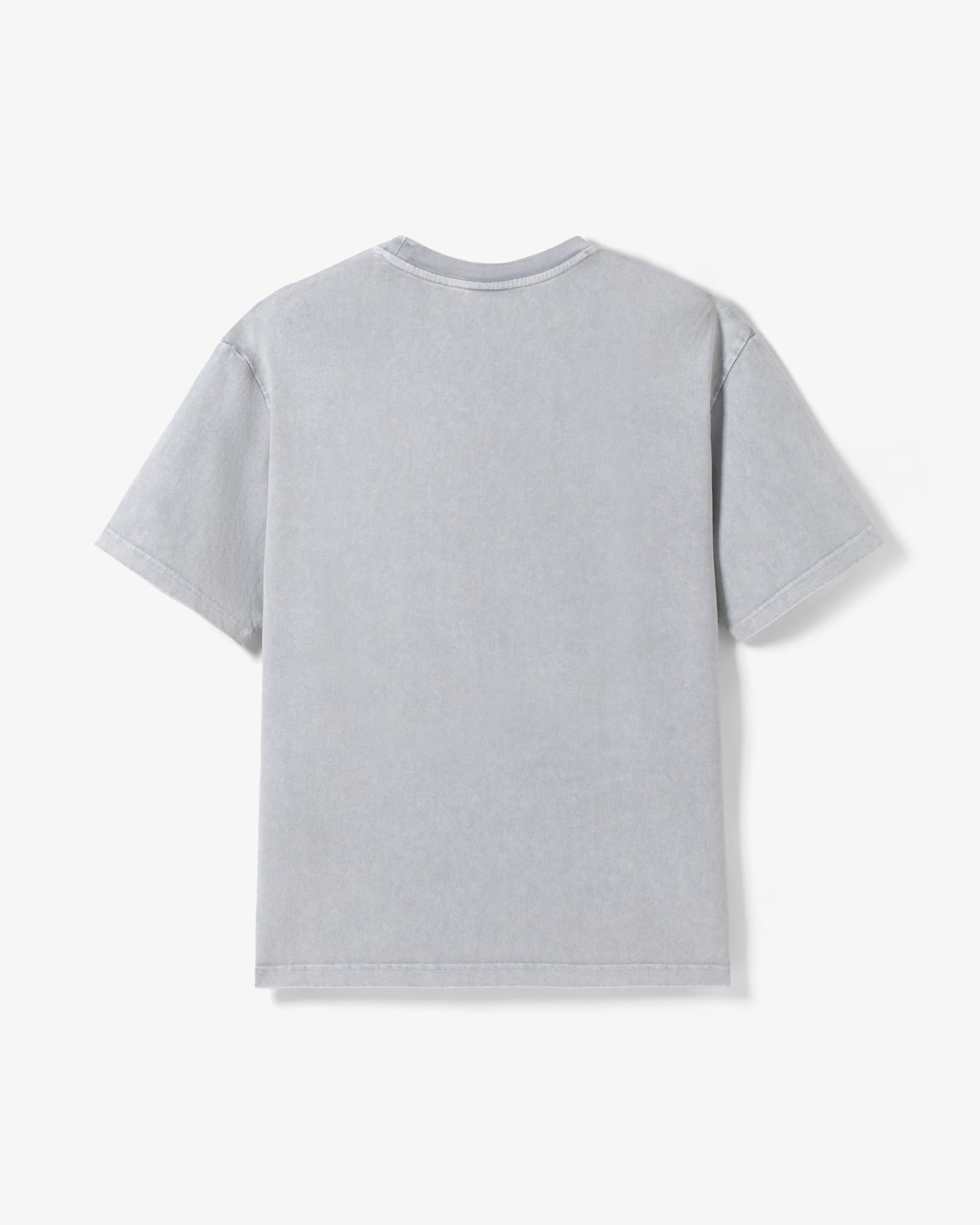 MoneyTree Washed Tee - SS Tee | Staple Pigeon