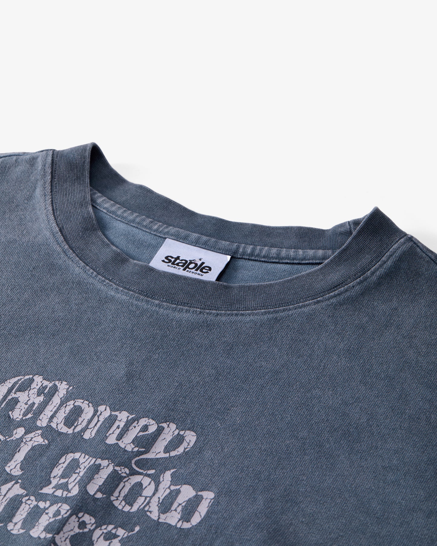 MoneyTree Washed Tee - SS Tee | Staple Pigeon