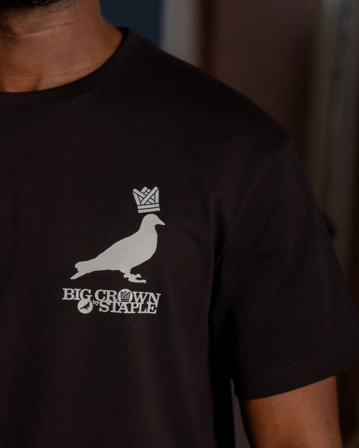 STAPLE x Big Crown 10th Anniversary Tee - SS Tee | Staple Pigeon