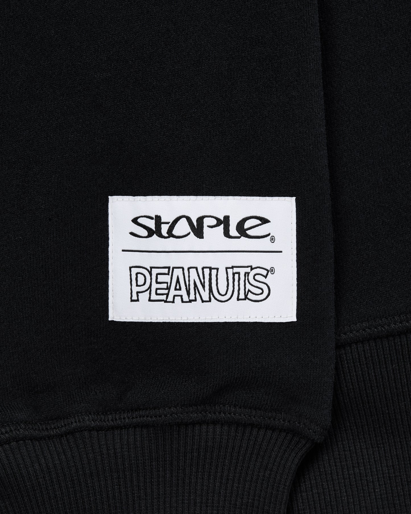 Staple x Peanuts Gang Hoodie - LS Hoodie | Staple Pigeon