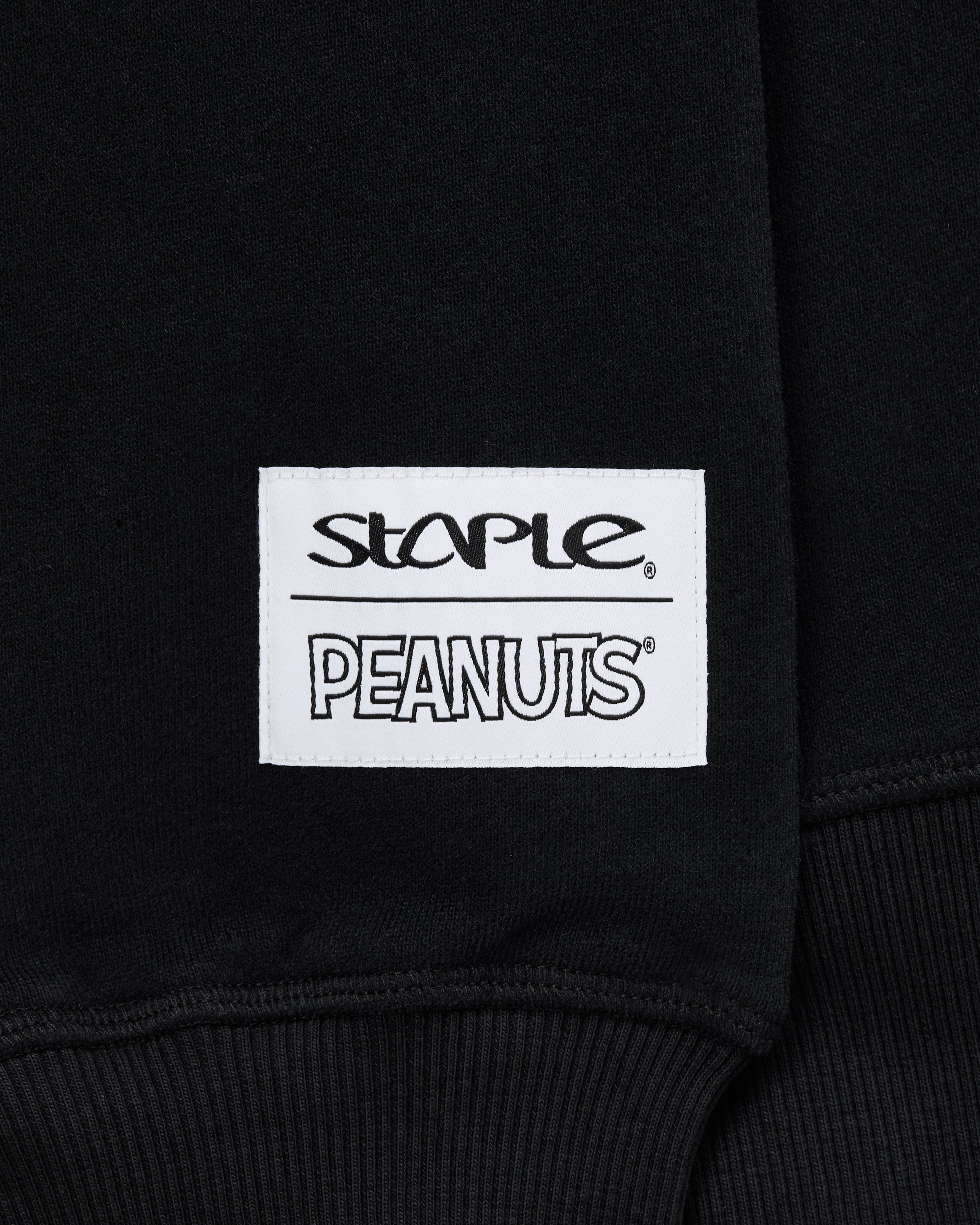 Staple x Peanuts Gang Hoodie - LS Hoodie | Staple Pigeon