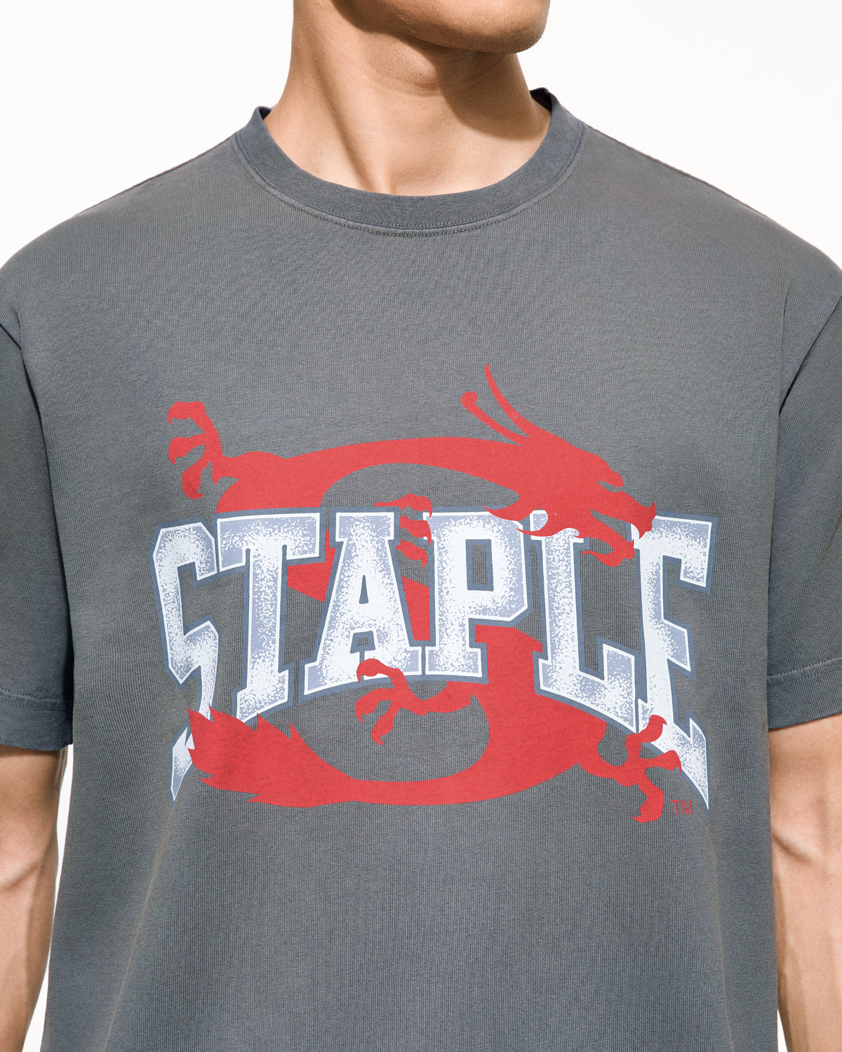 Frazier Dragon Tee - SS Tee | Staple Pigeon