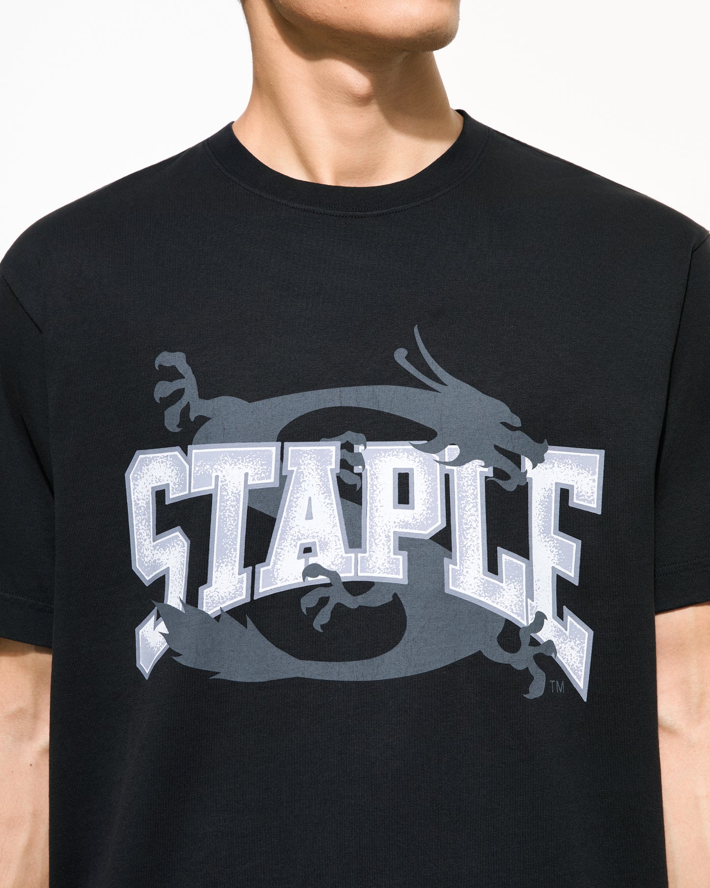 Frazier Dragon Tee - SS Tee | Staple Pigeon