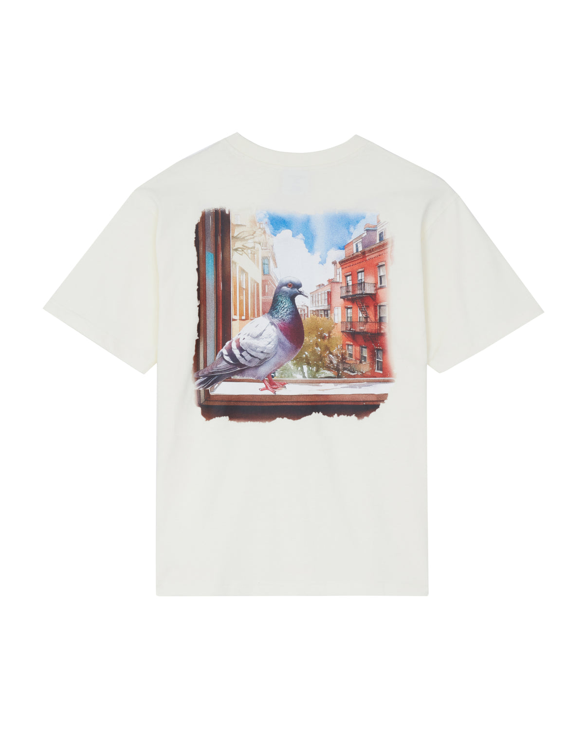 Pigeon Window Tee - SS Tee | Staple Pigeon