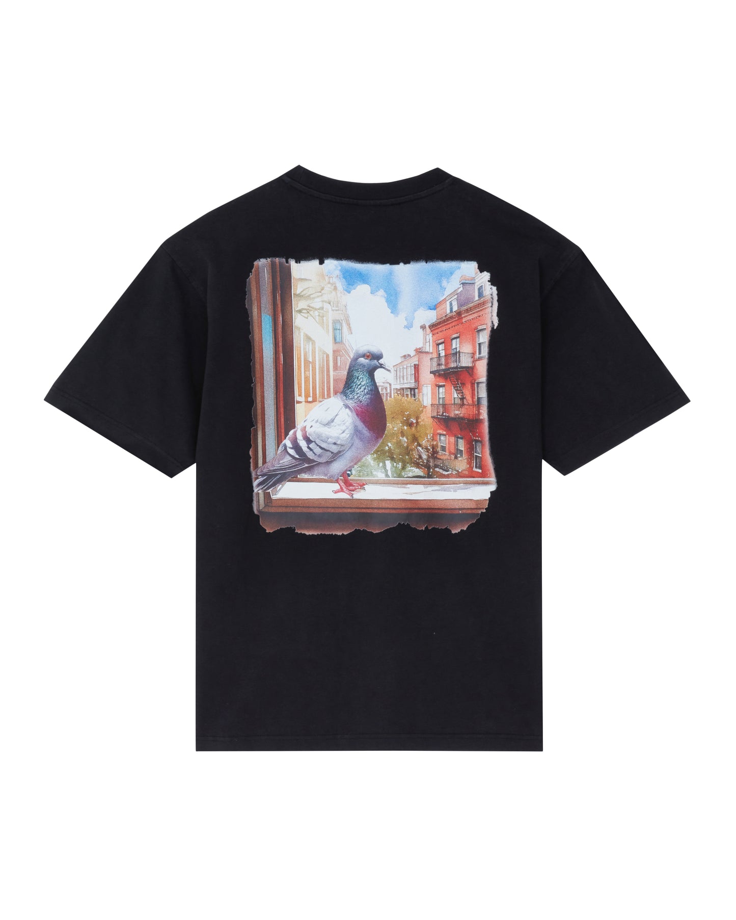 Pigeon Window Tee