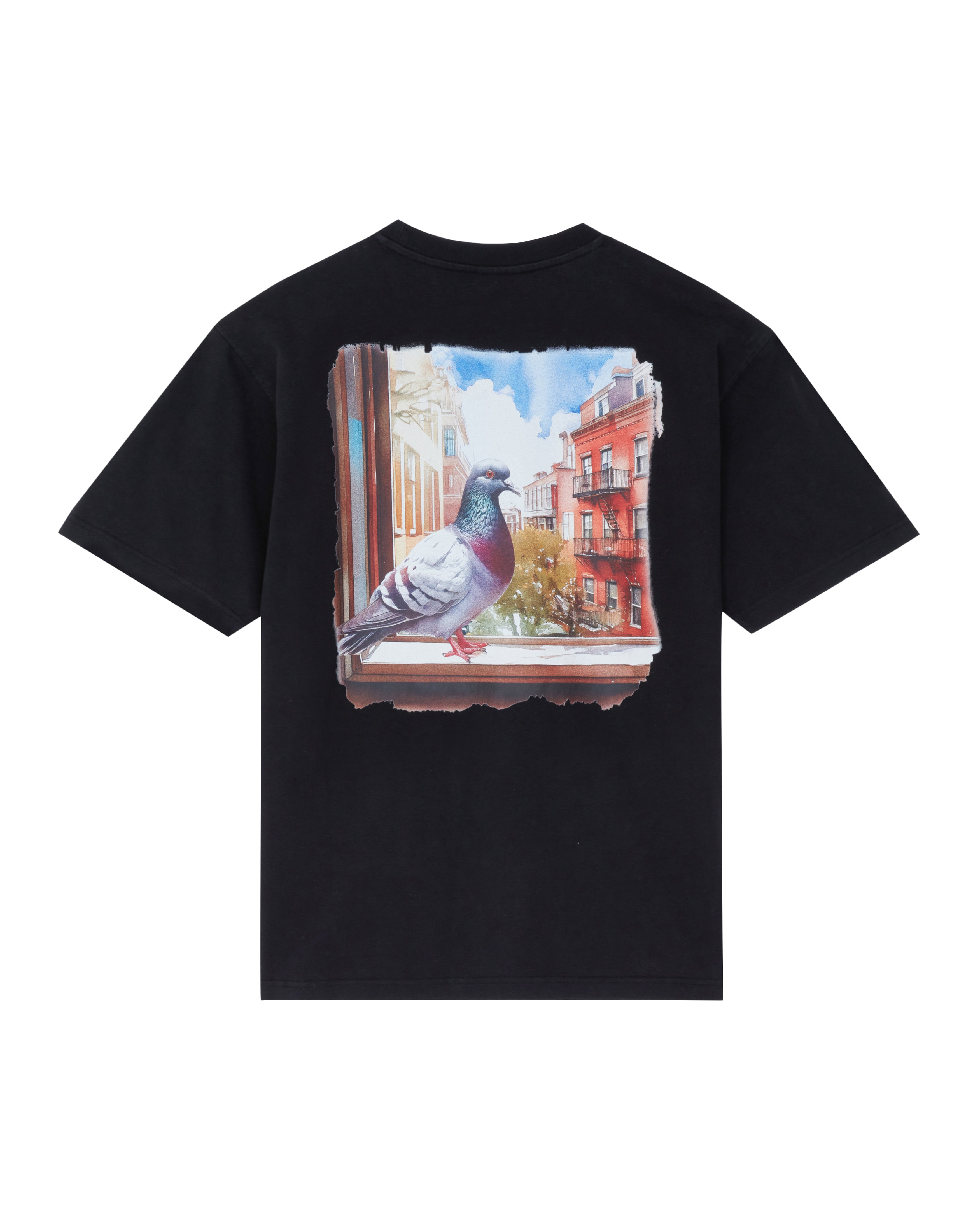 Pigeon Window Tee - SS Tee | Staple Pigeon