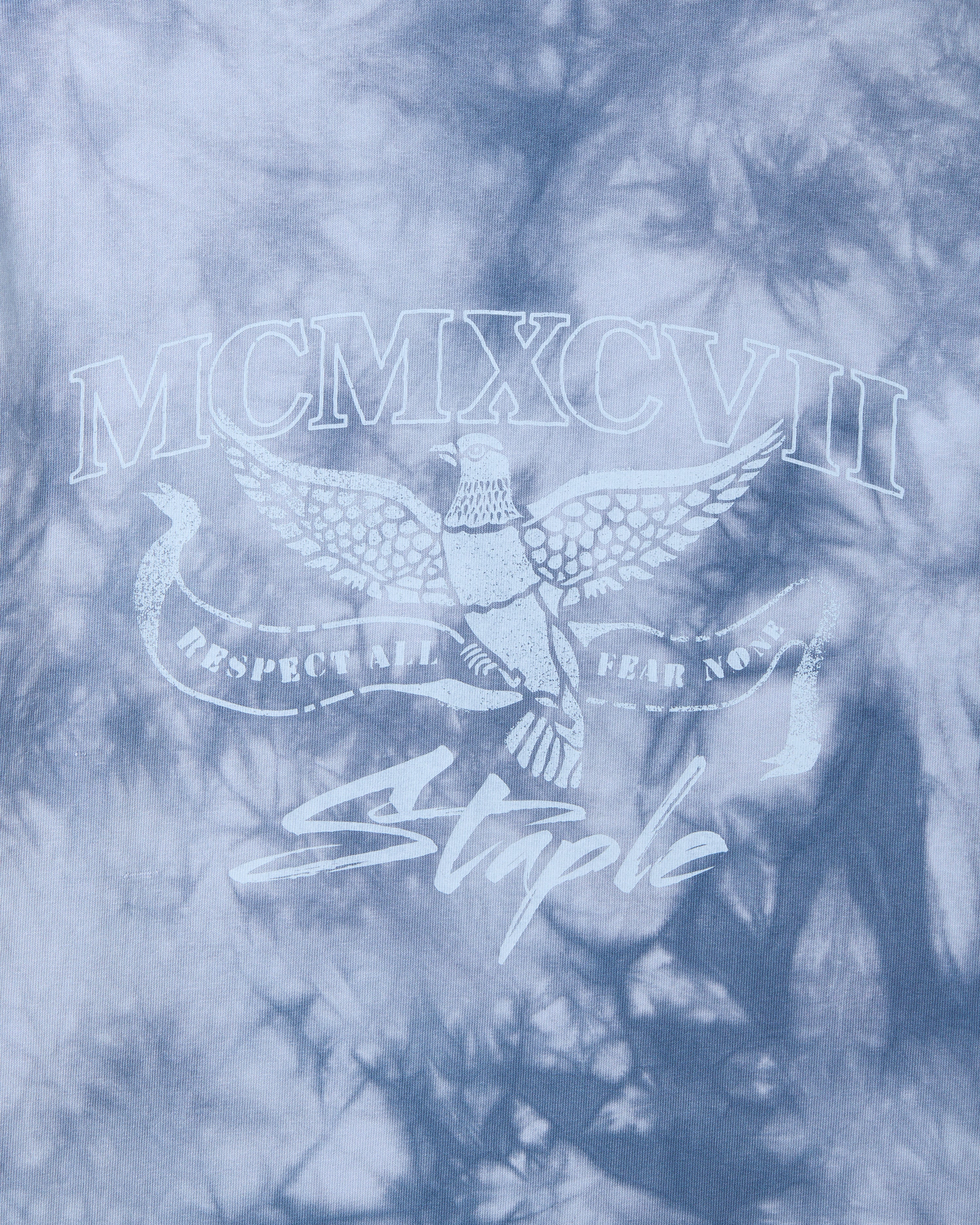 Rock Dove Washed Tee - SS Tee | Staple Pigeon