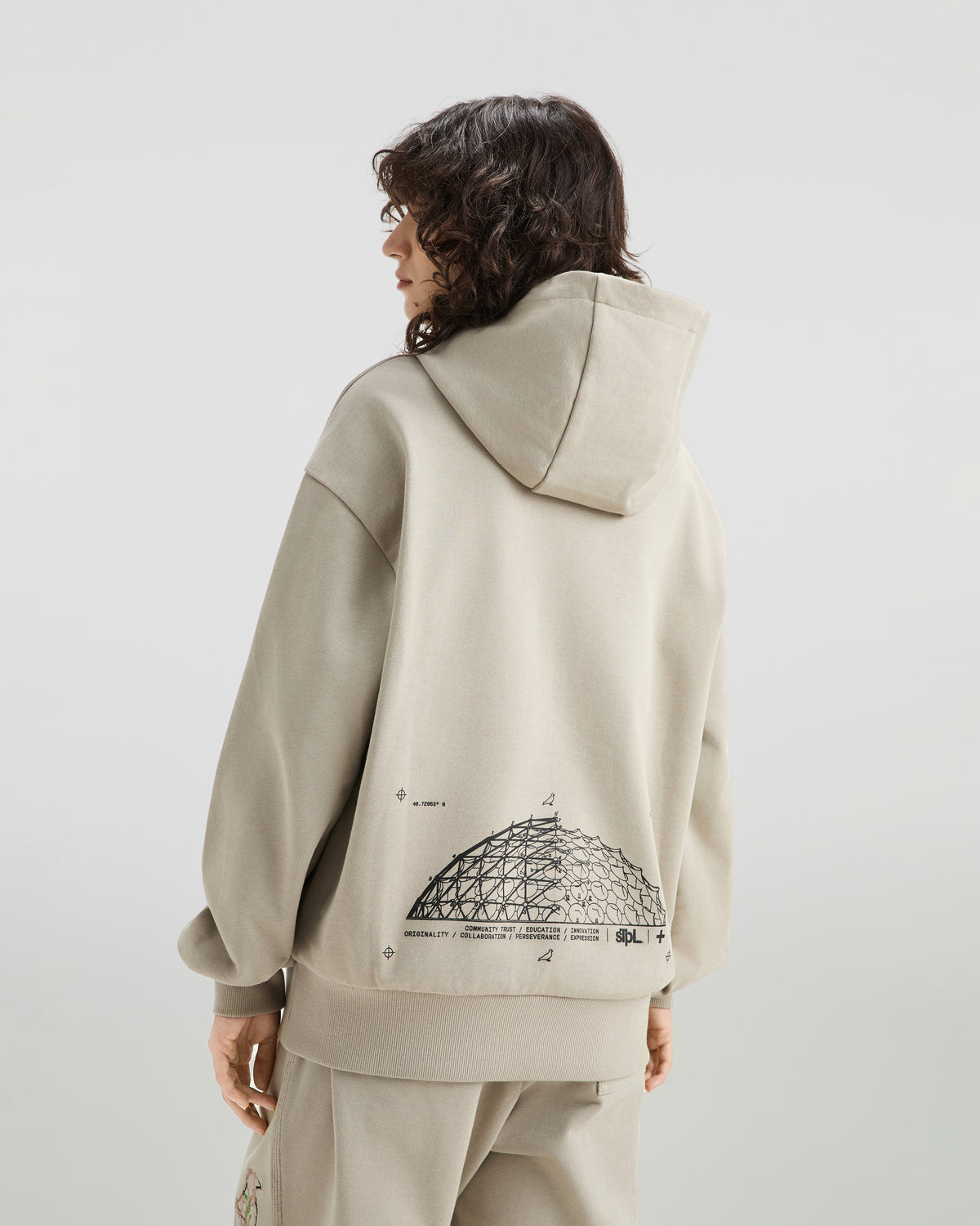 Apex Logo Hoodie - LS Hoodie | Staple Pigeon