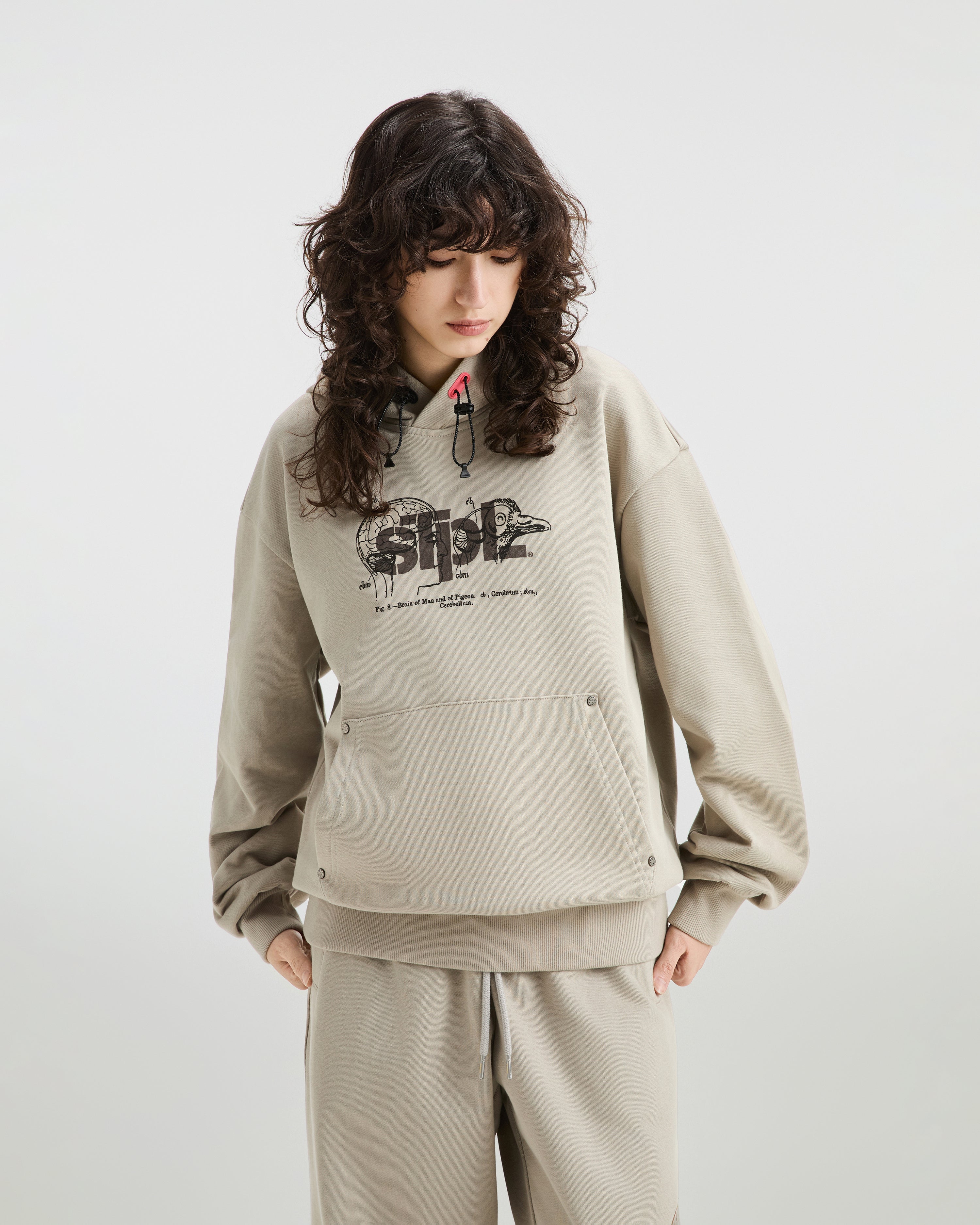 Apex Logo Hoodie - LS Hoodie | Staple Pigeon