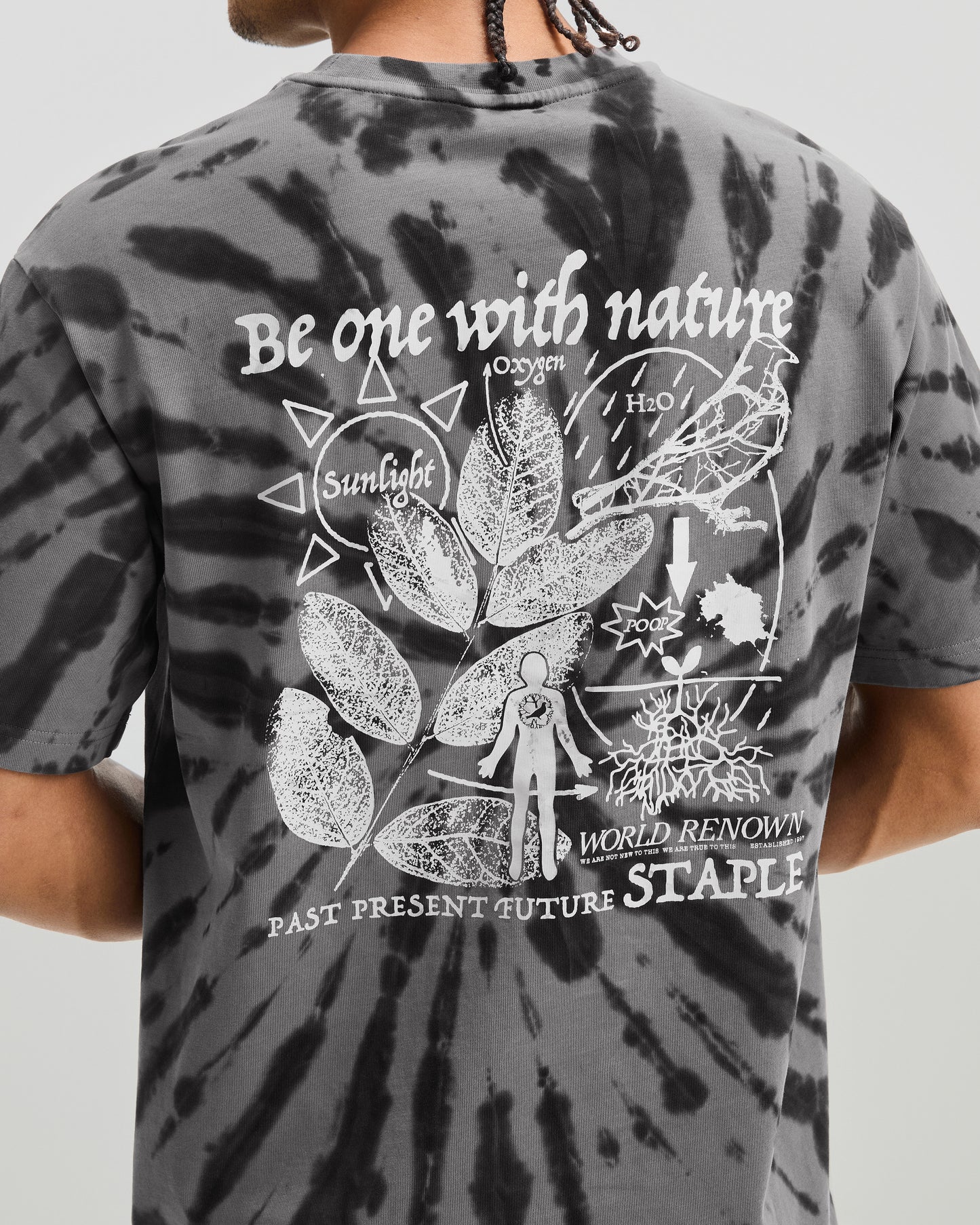 Cypress Graphic Tee - SS Tee | Staple Pigeon