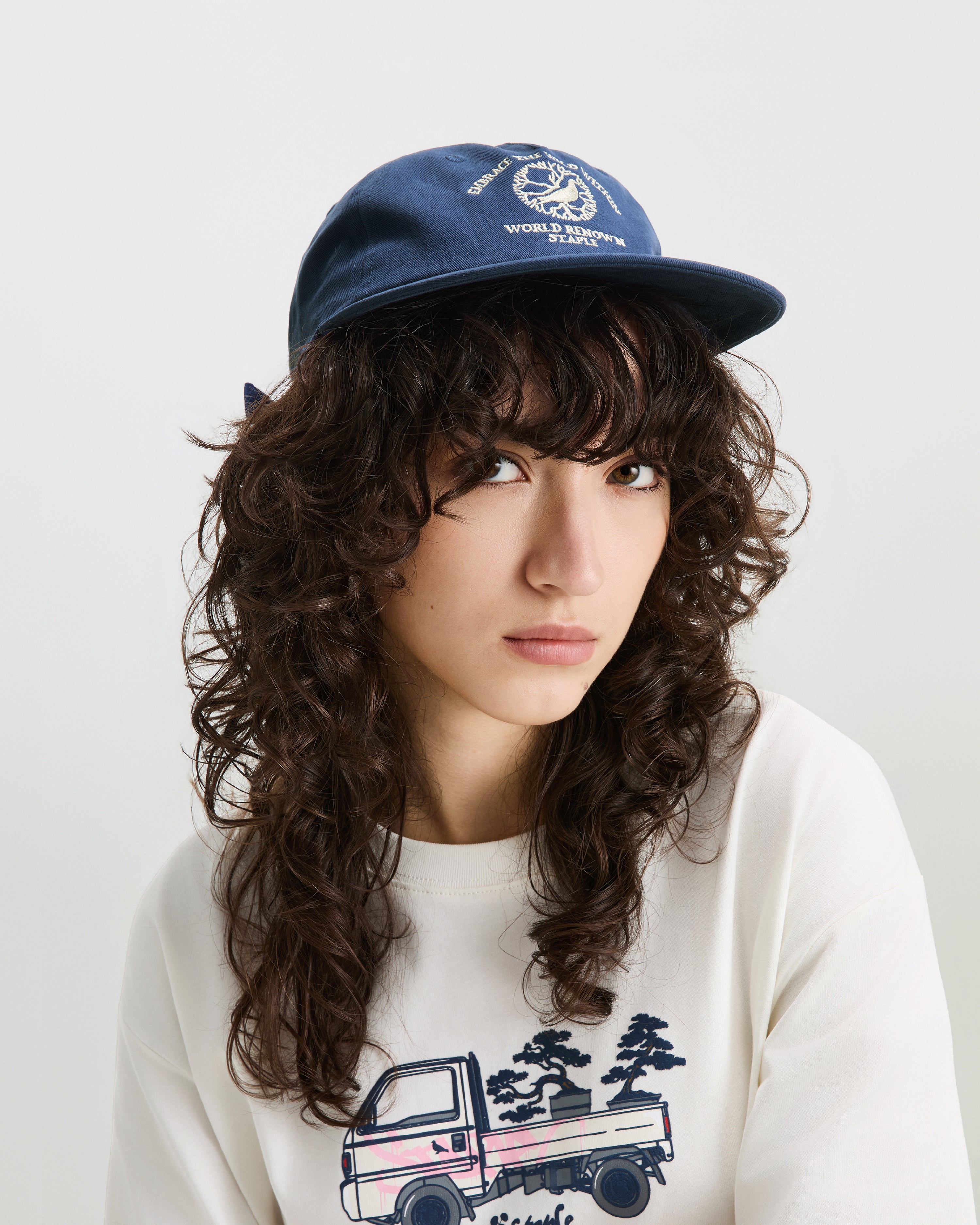 Wild Within Twill Cap - Snapback Cap | Staple Pigeon