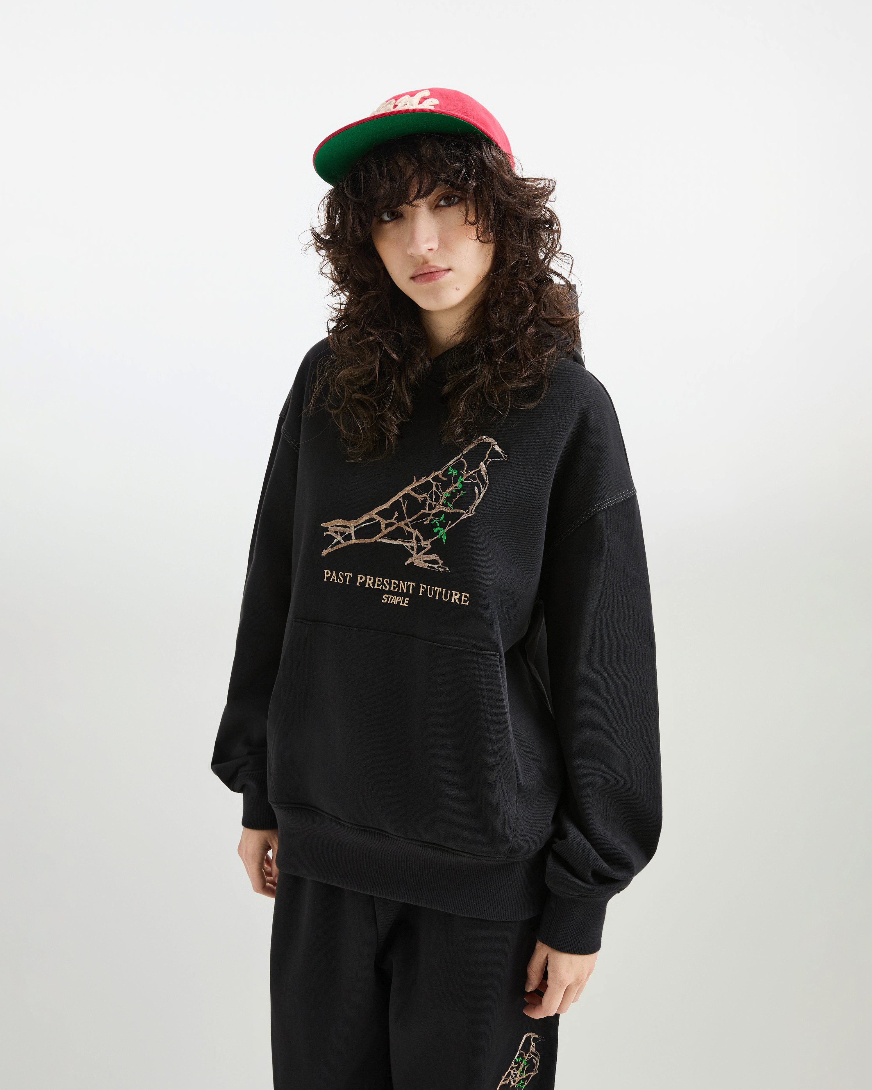 Foliage Pigeon Hoodie - LS Hoodie | Staple Pigeon