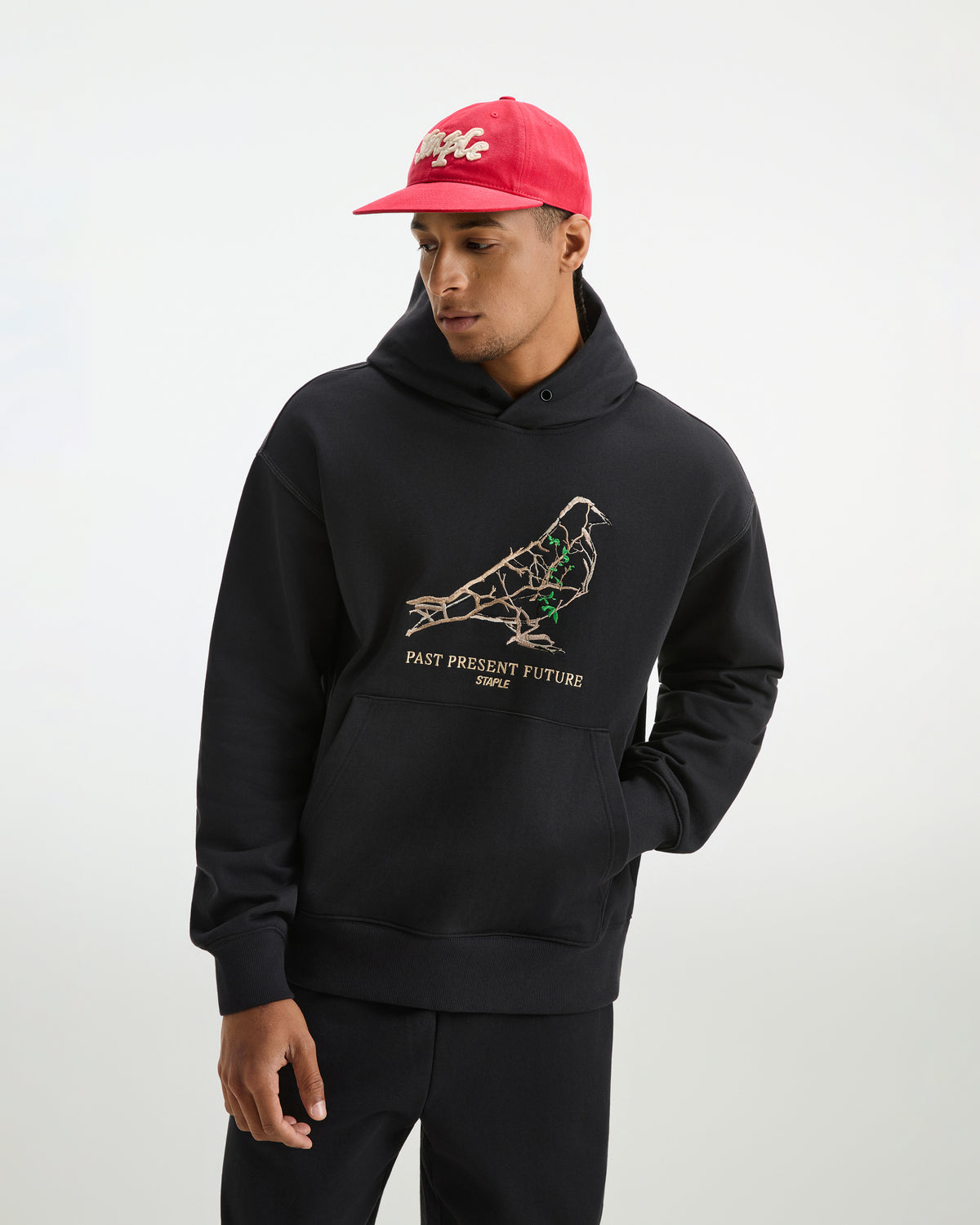 Foliage Pigeon Hoodie - LS Hoodie | Staple Pigeon