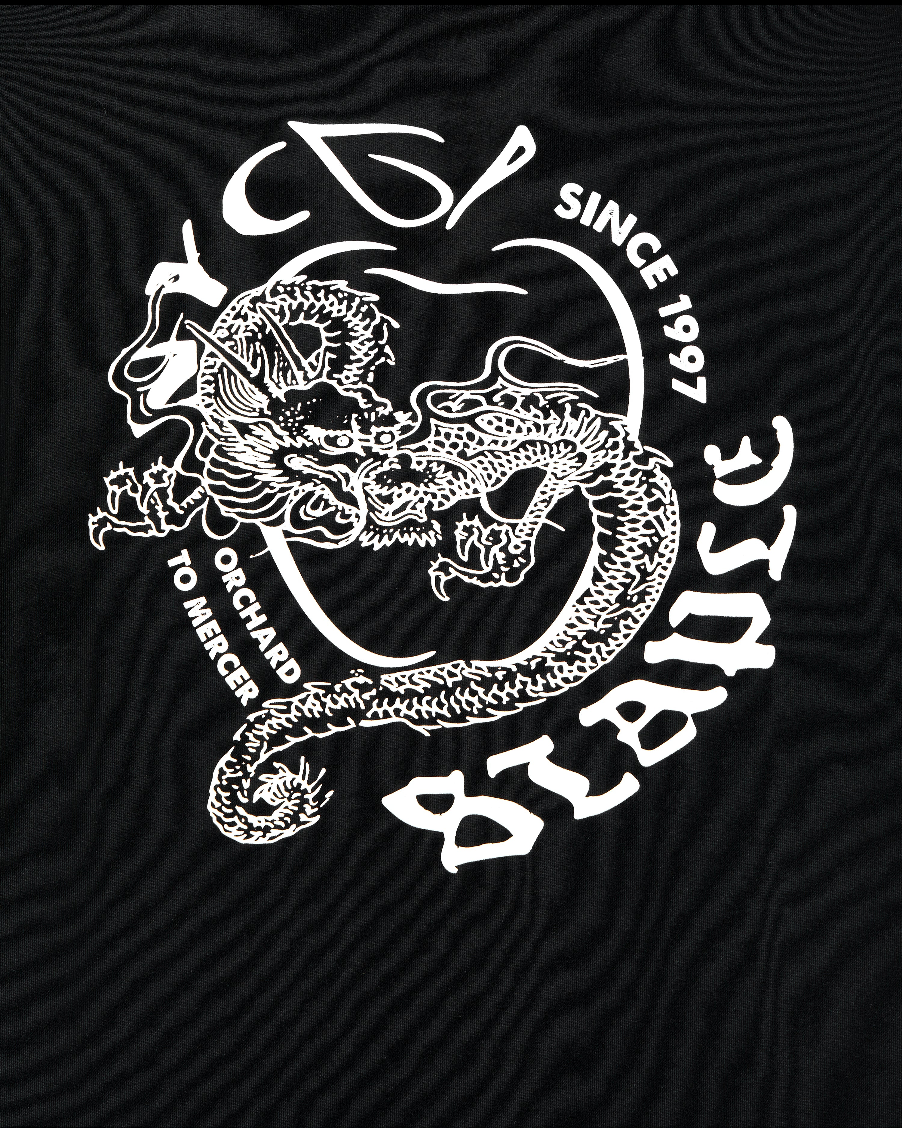 NYC Dragon Tee - SS Tee | Staple Pigeon