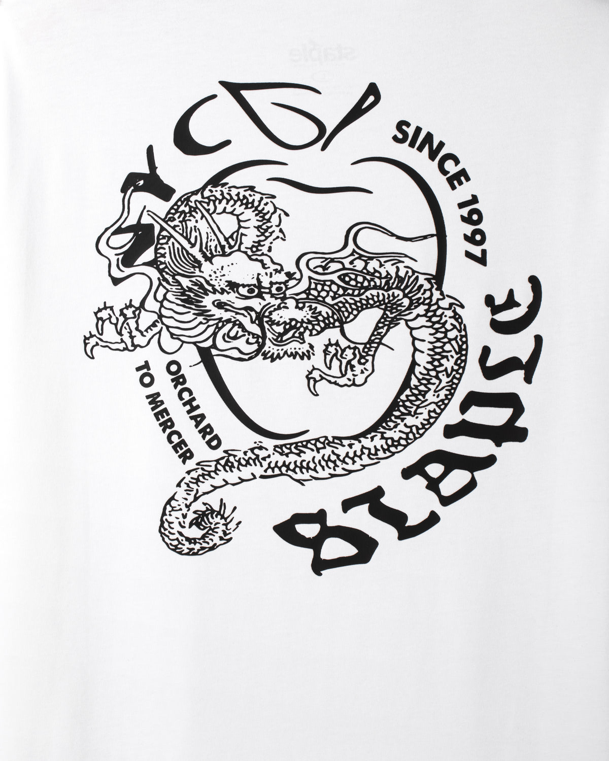 NYC Dragon Tee - SS Tee | Staple Pigeon