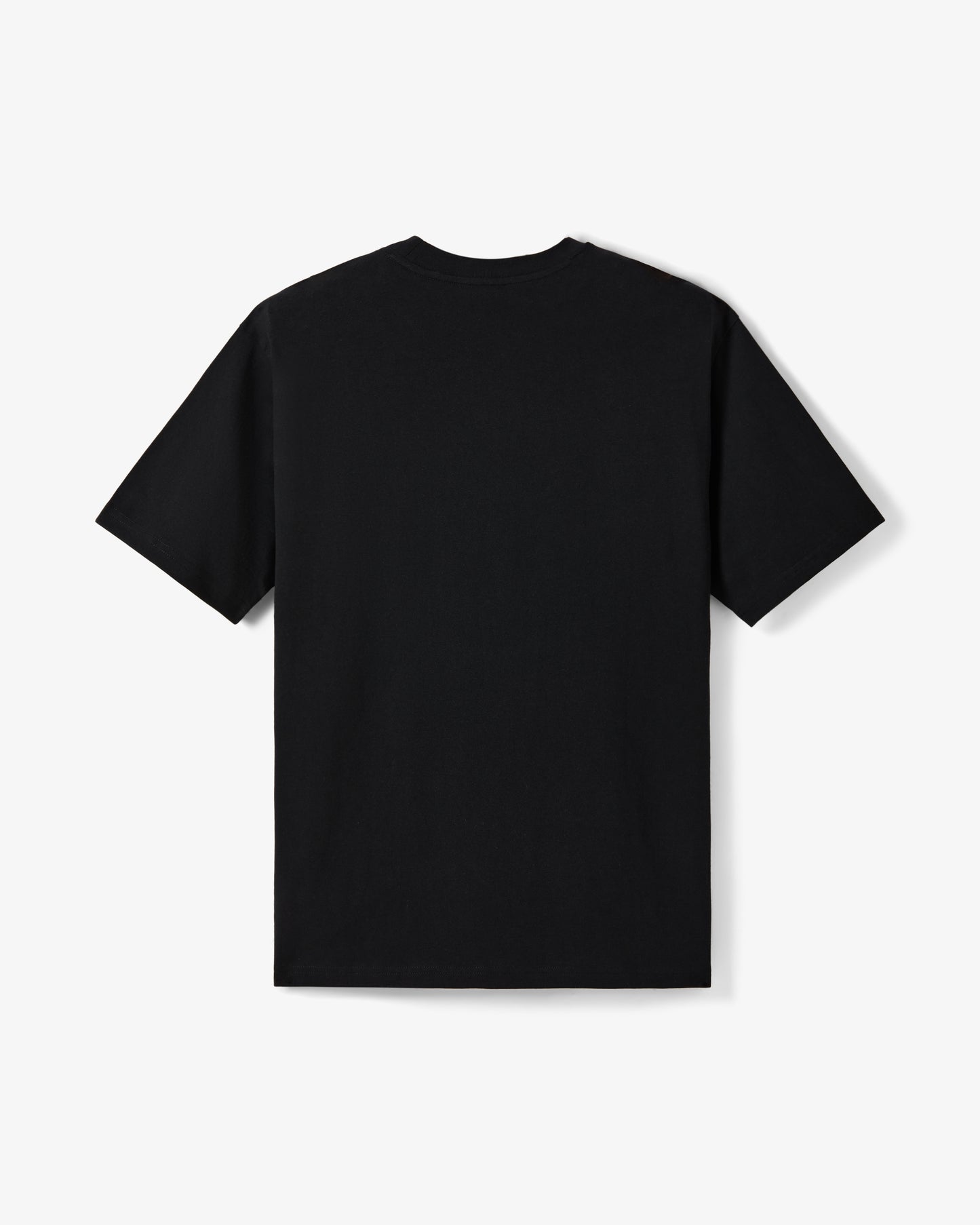 Staple Prism Tee - SS Tee | Staple Pigeon