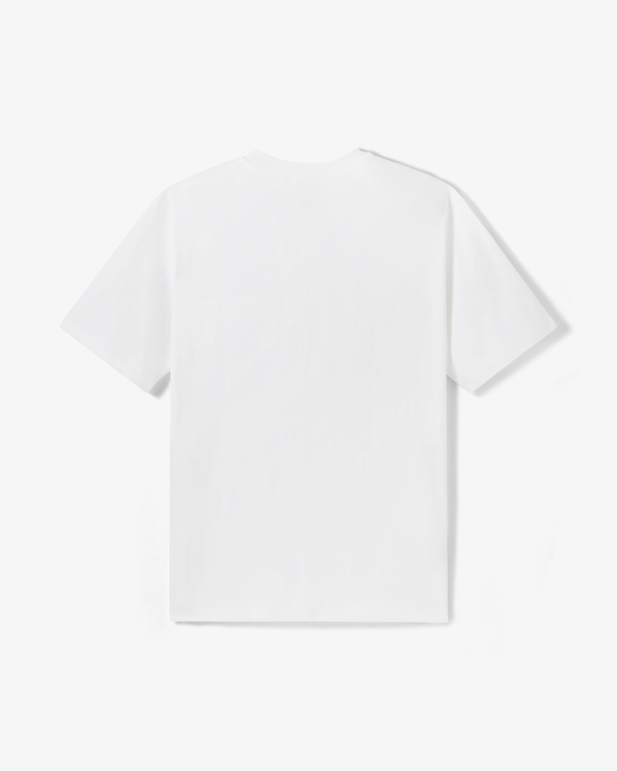 Staple Prism Tee - SS Tee | Staple Pigeon
