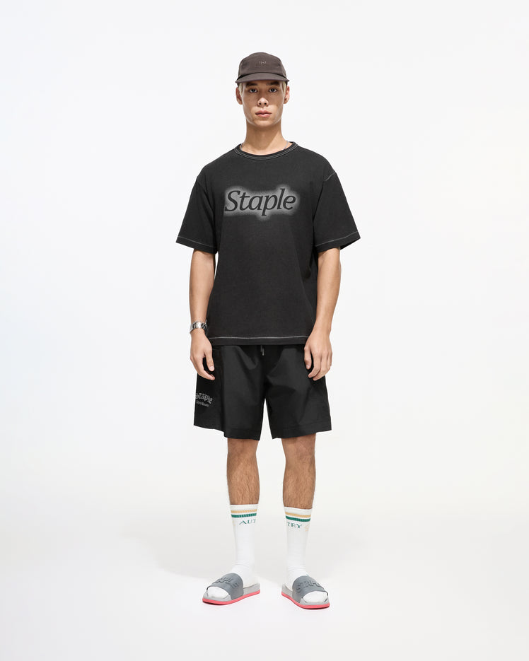 Washed Logo Tee - Tee | Staple Pigeon