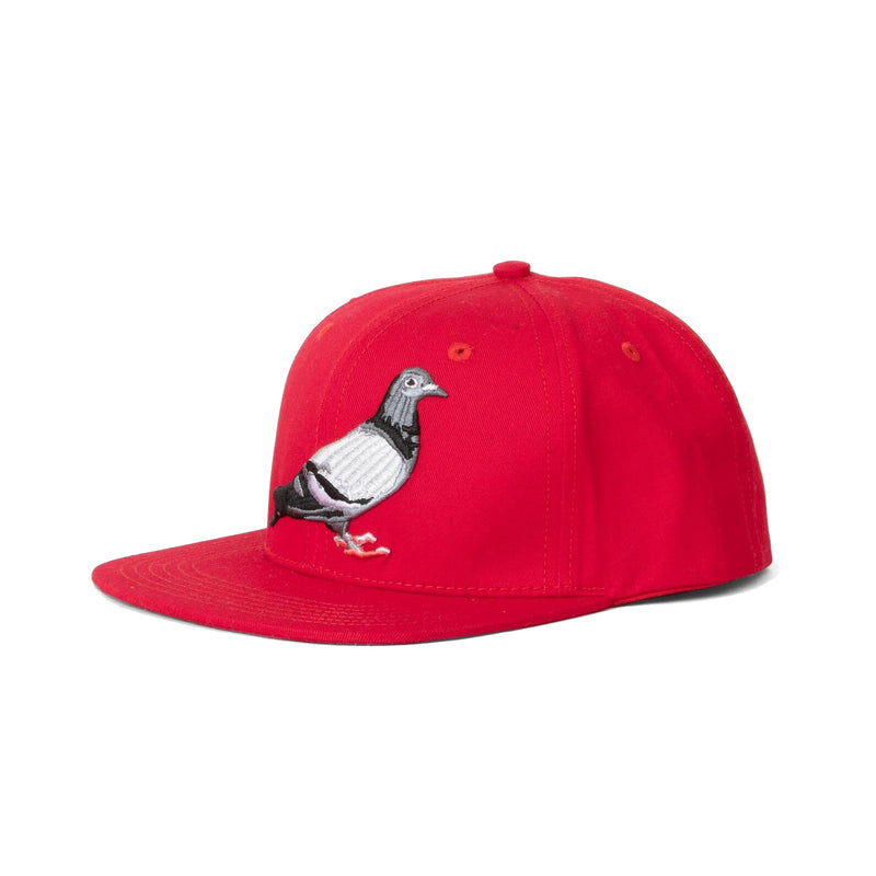 Pigeon Snapback - Hat | Staple Pigeon