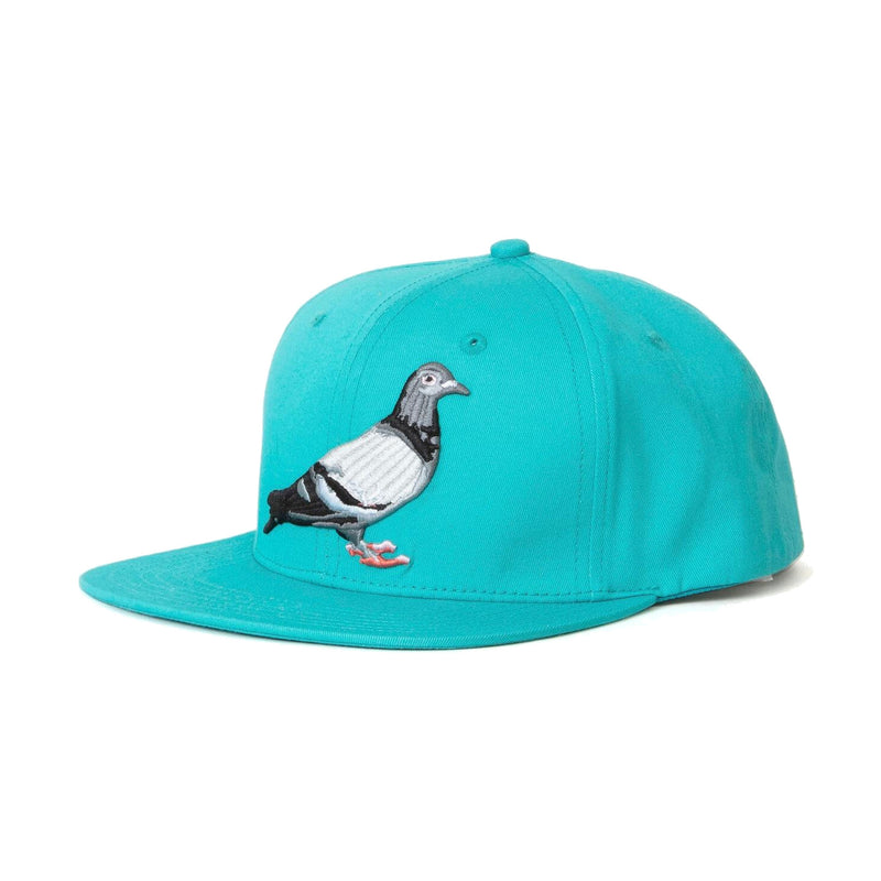 Pigeon Snapback - Hat | Staple Pigeon
