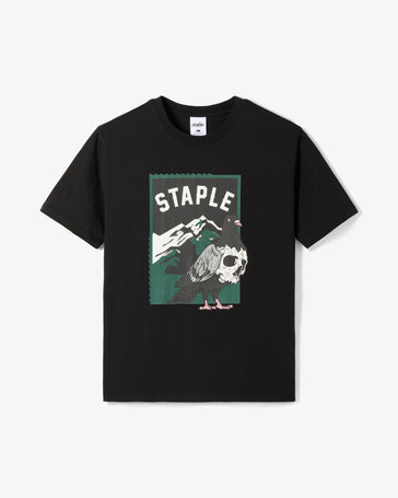Skull Tee - Tee | Staple Pigeon