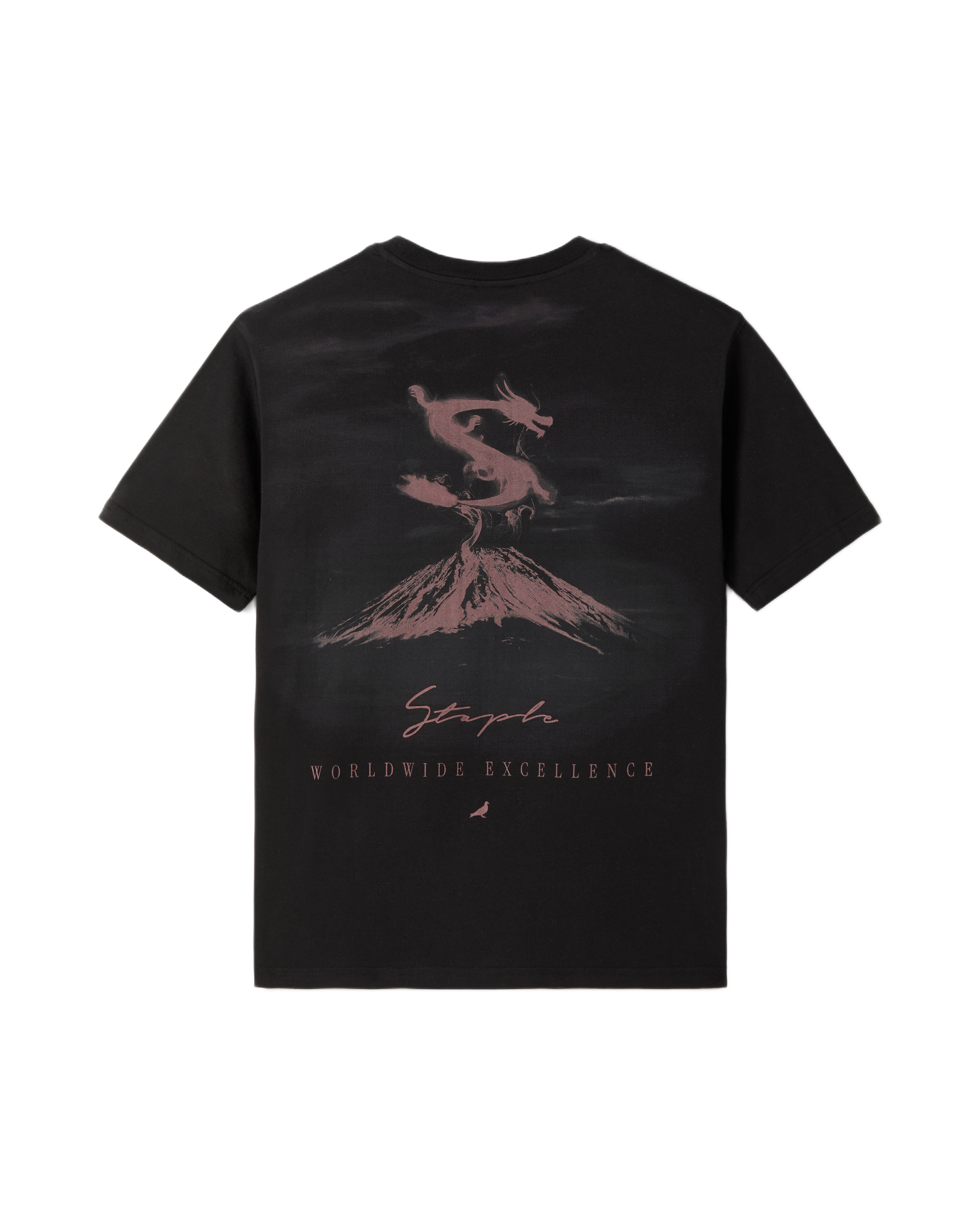 Eruption Tee - SS Tee | Staple Pigeon