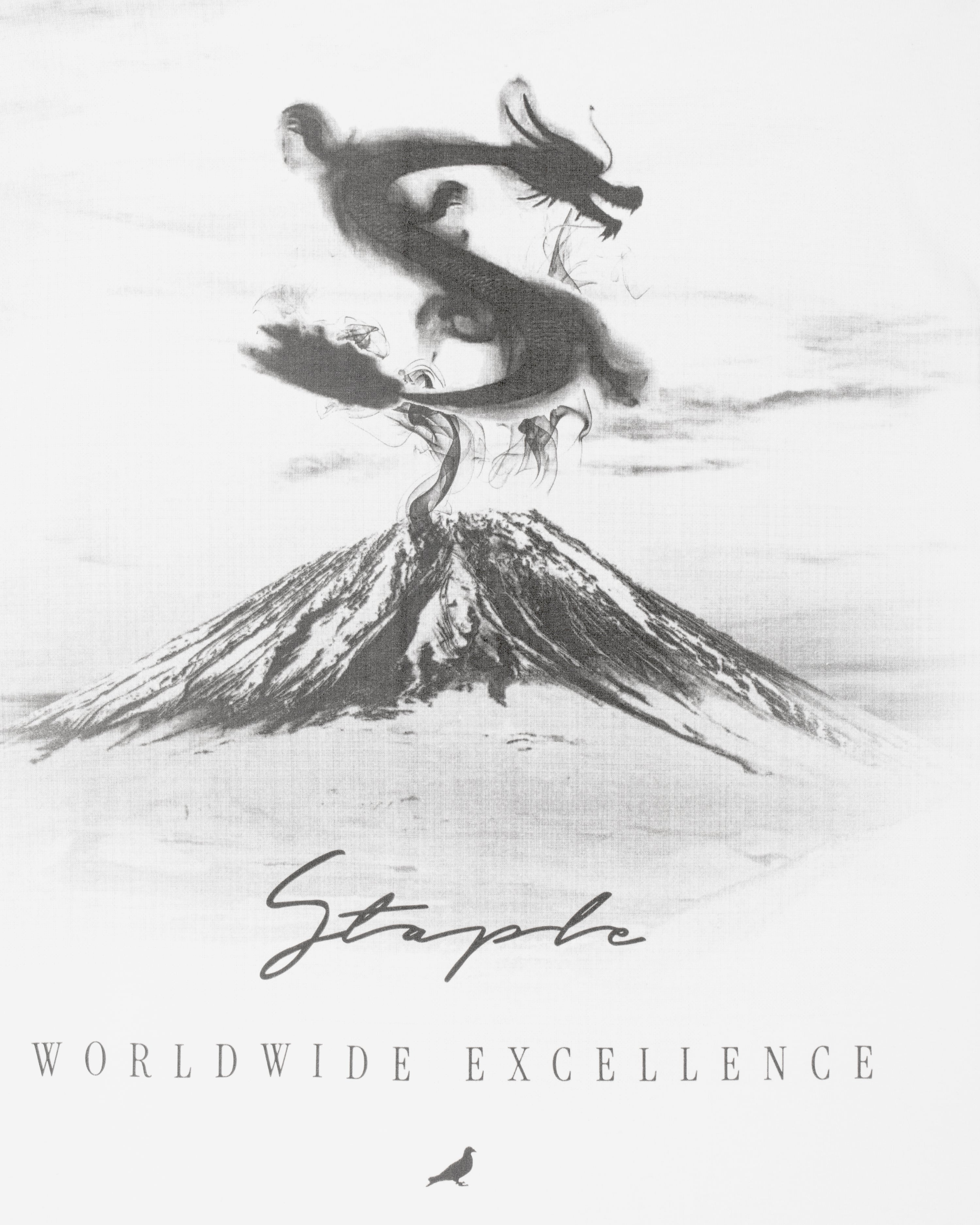 Eruption Tee - SS Tee | Staple Pigeon
